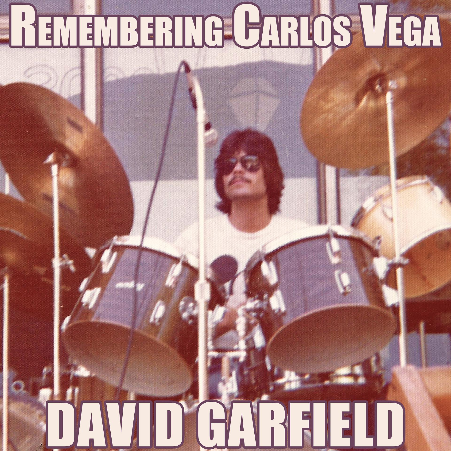 Постер альбома Remembering Carlos Vega