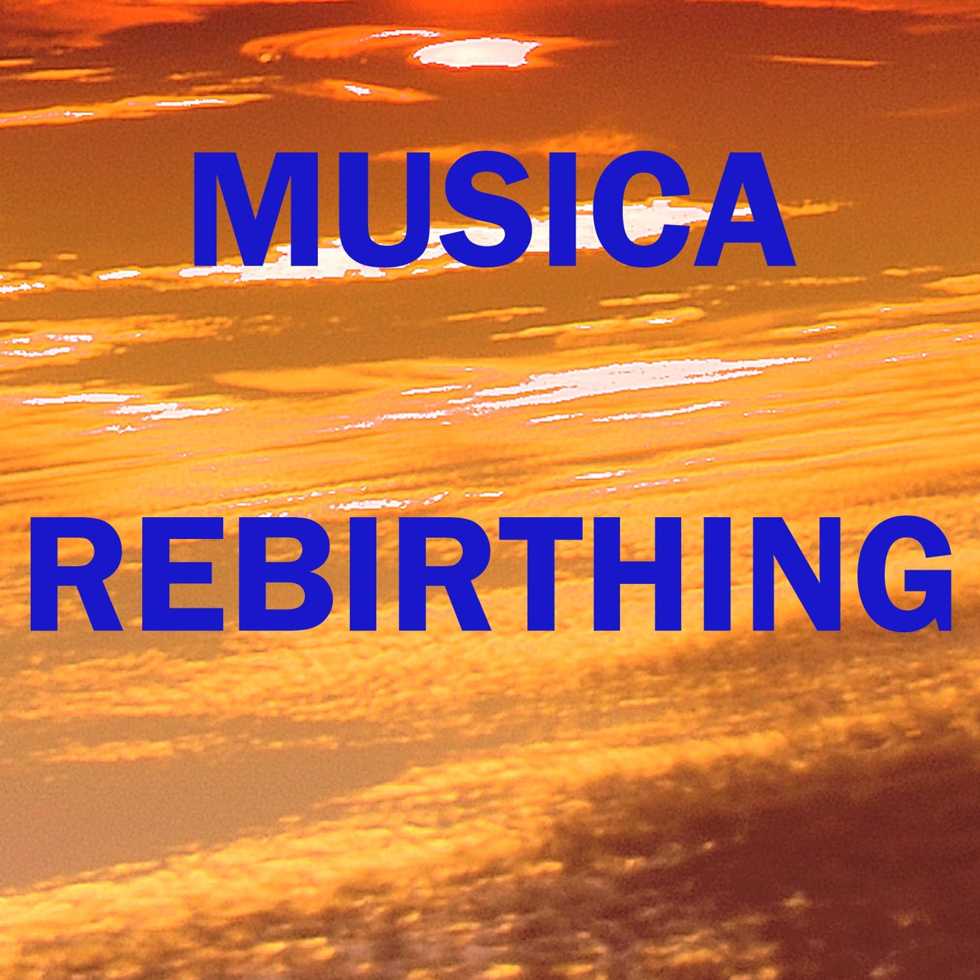 Постер альбома Musica rebirthing