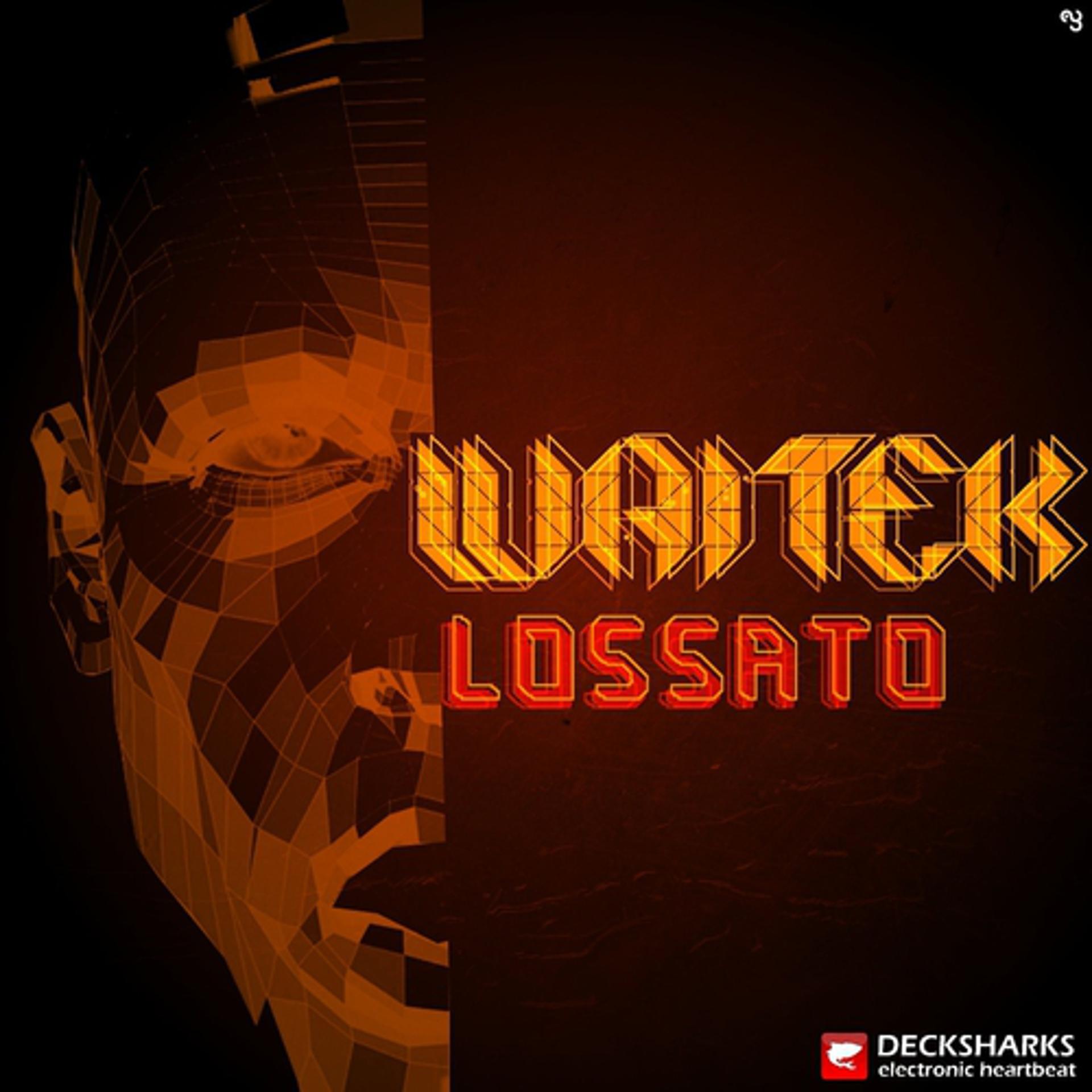 Постер альбома Lossato