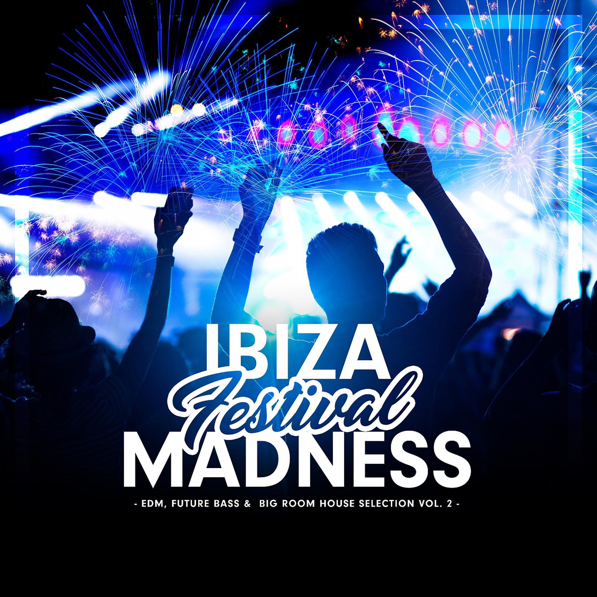 Постер альбома Ibiza Festival Madness, Vol. 2