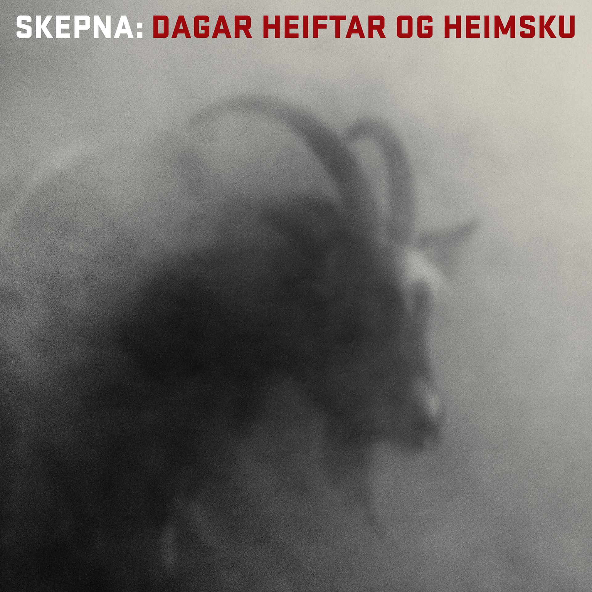 Постер альбома Dagar Heiftar og Heimsku
