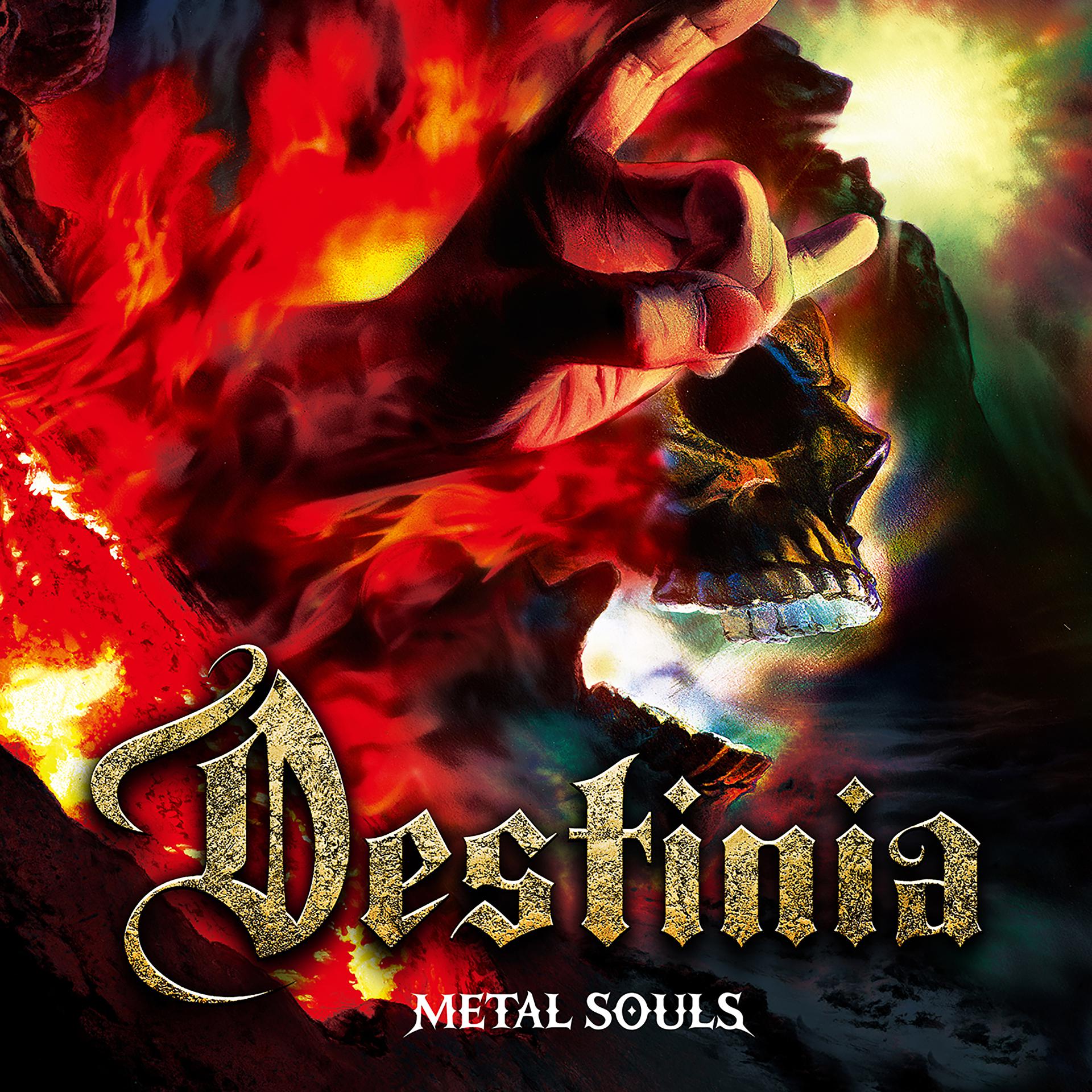 Постер альбома Metal Souls