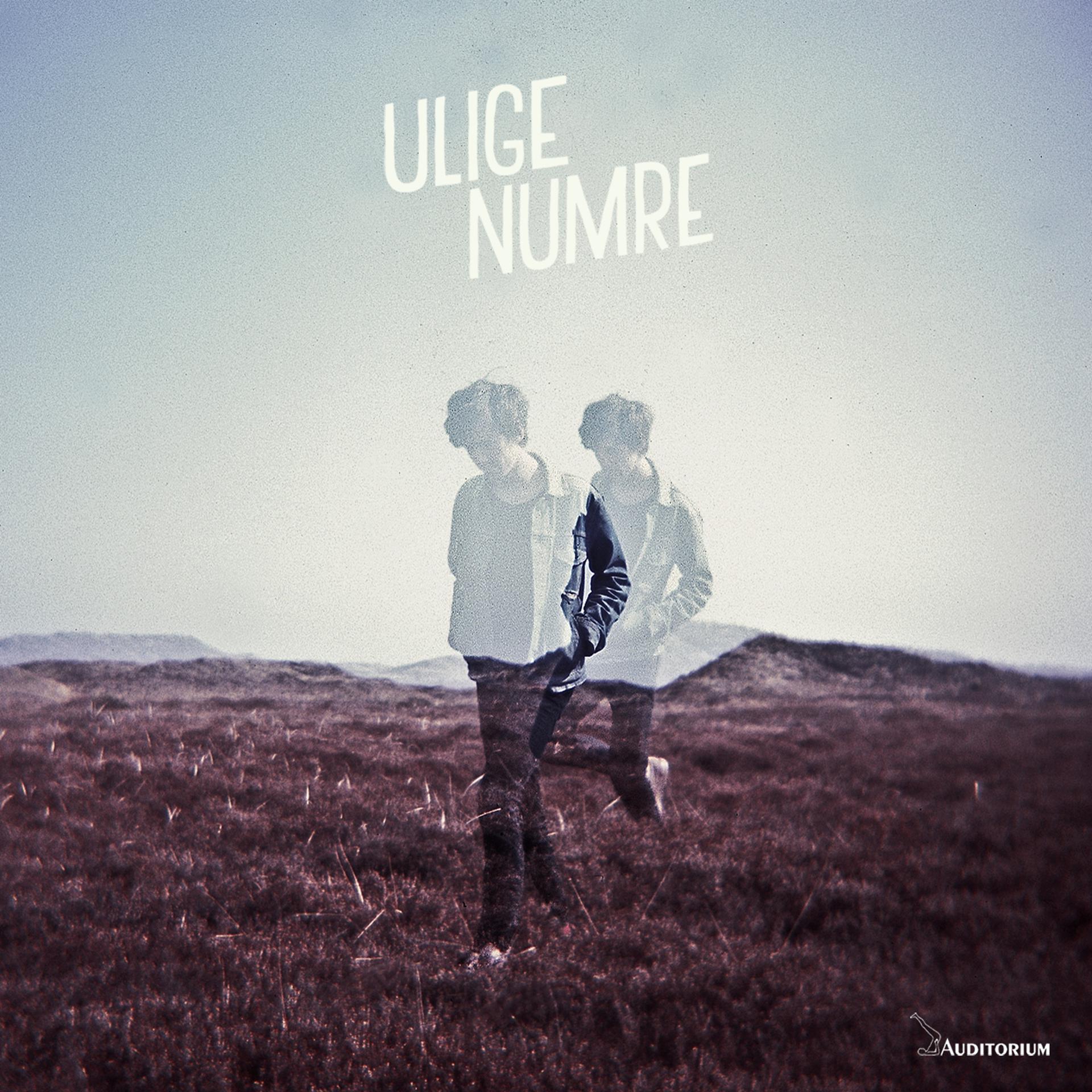 Постер альбома Ulige Numre