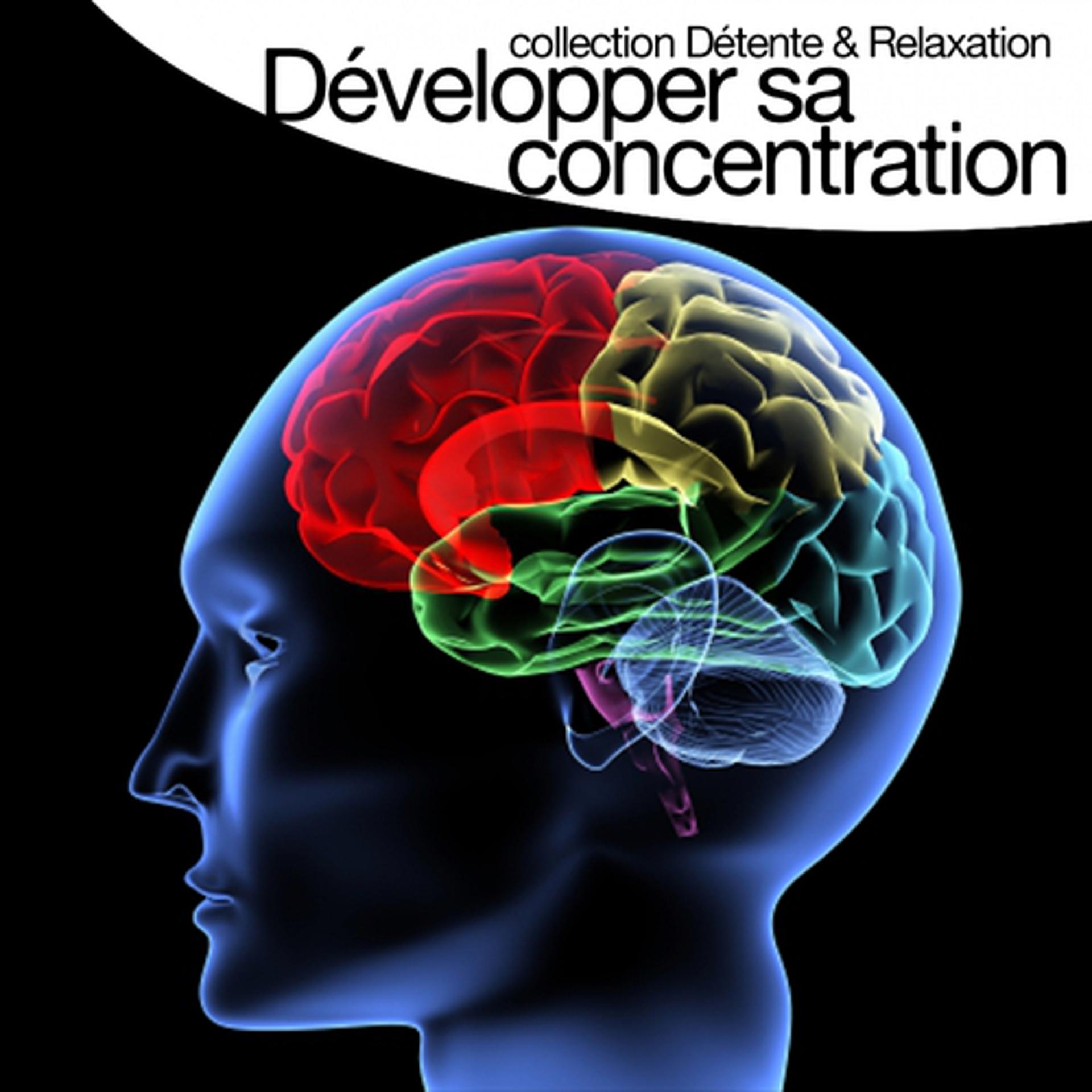 Постер альбома Développer sa concentration