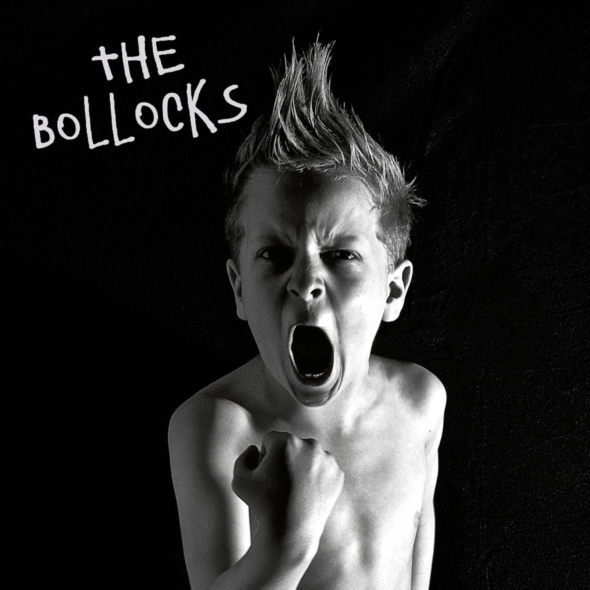 Постер альбома The Bollocks