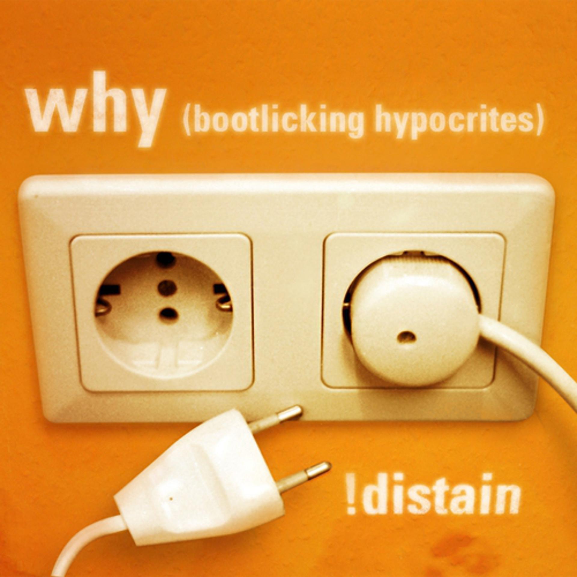 Постер альбома Why (Bootlicking Hypocrites)