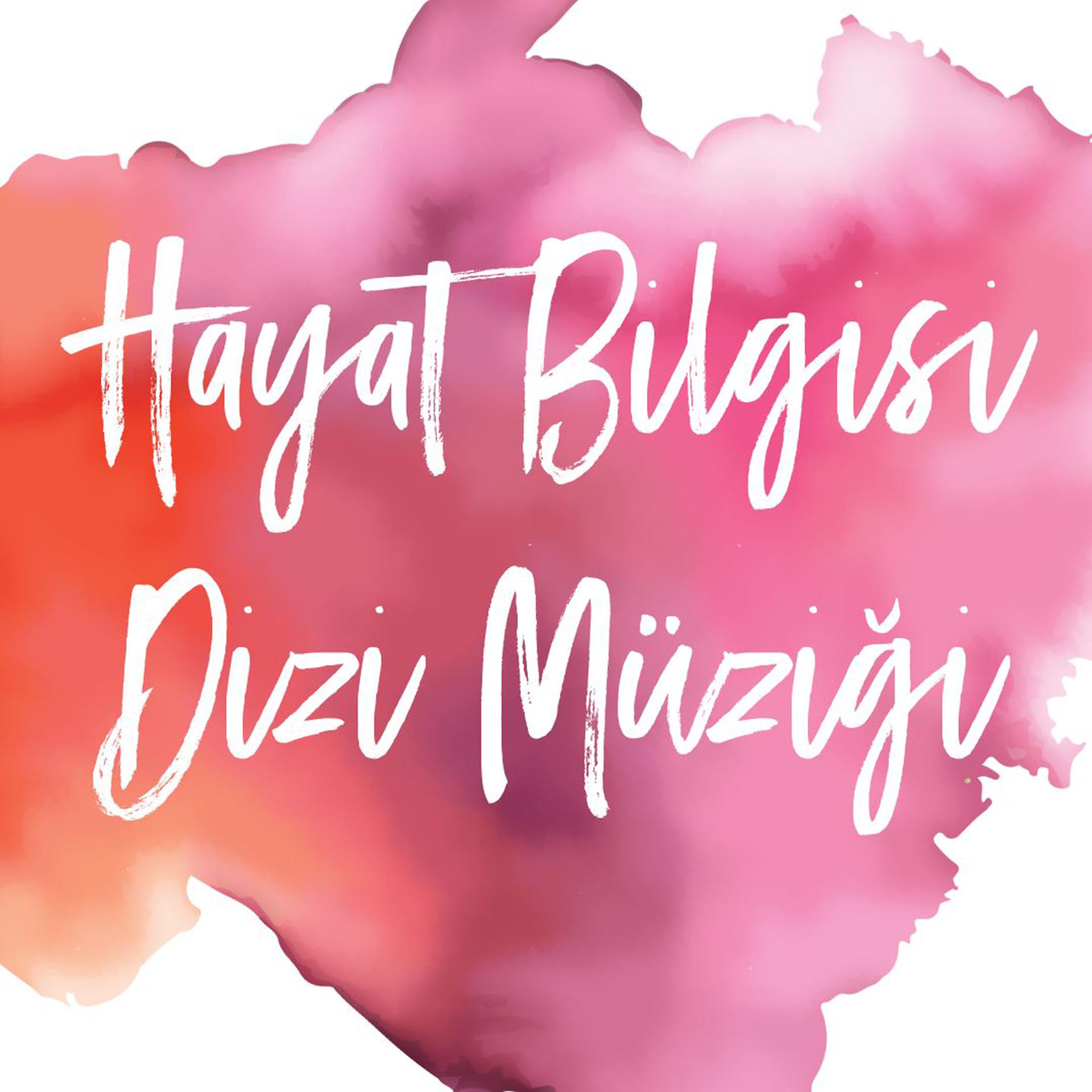 Постер альбома Hayat Bilgisi Dizi Müziği (Orijinal Dizi Müzikleri)