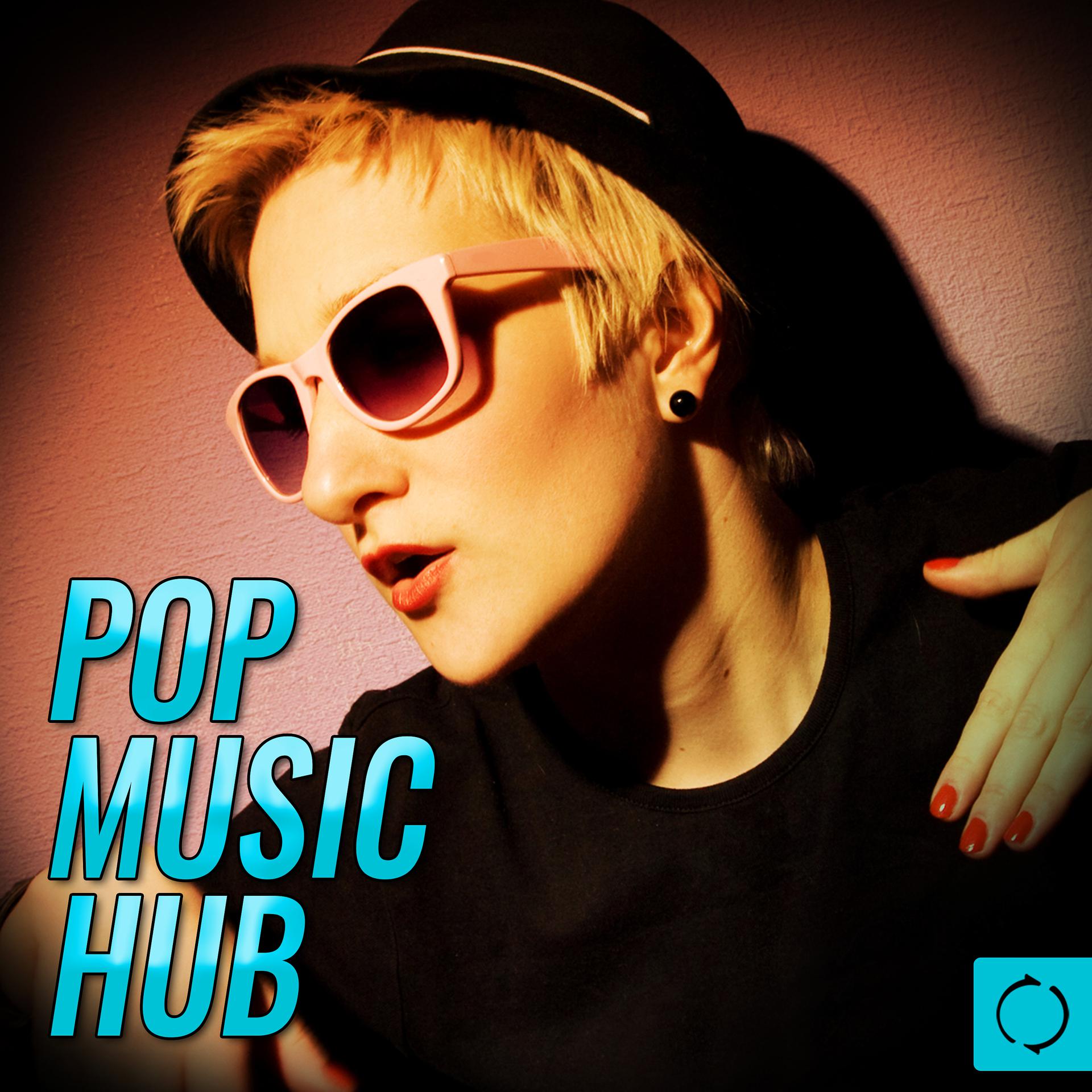 Постер альбома Pop Music Hub
