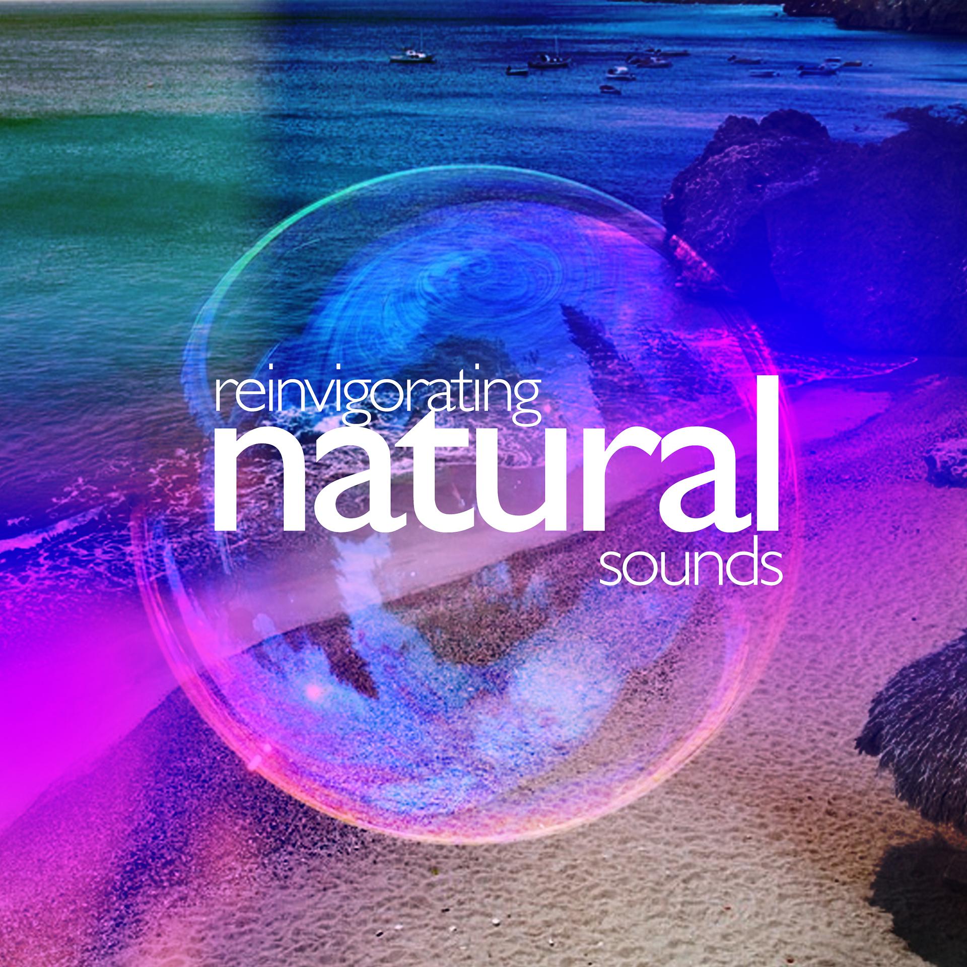 Постер альбома Reinvigorating Natural Sounds