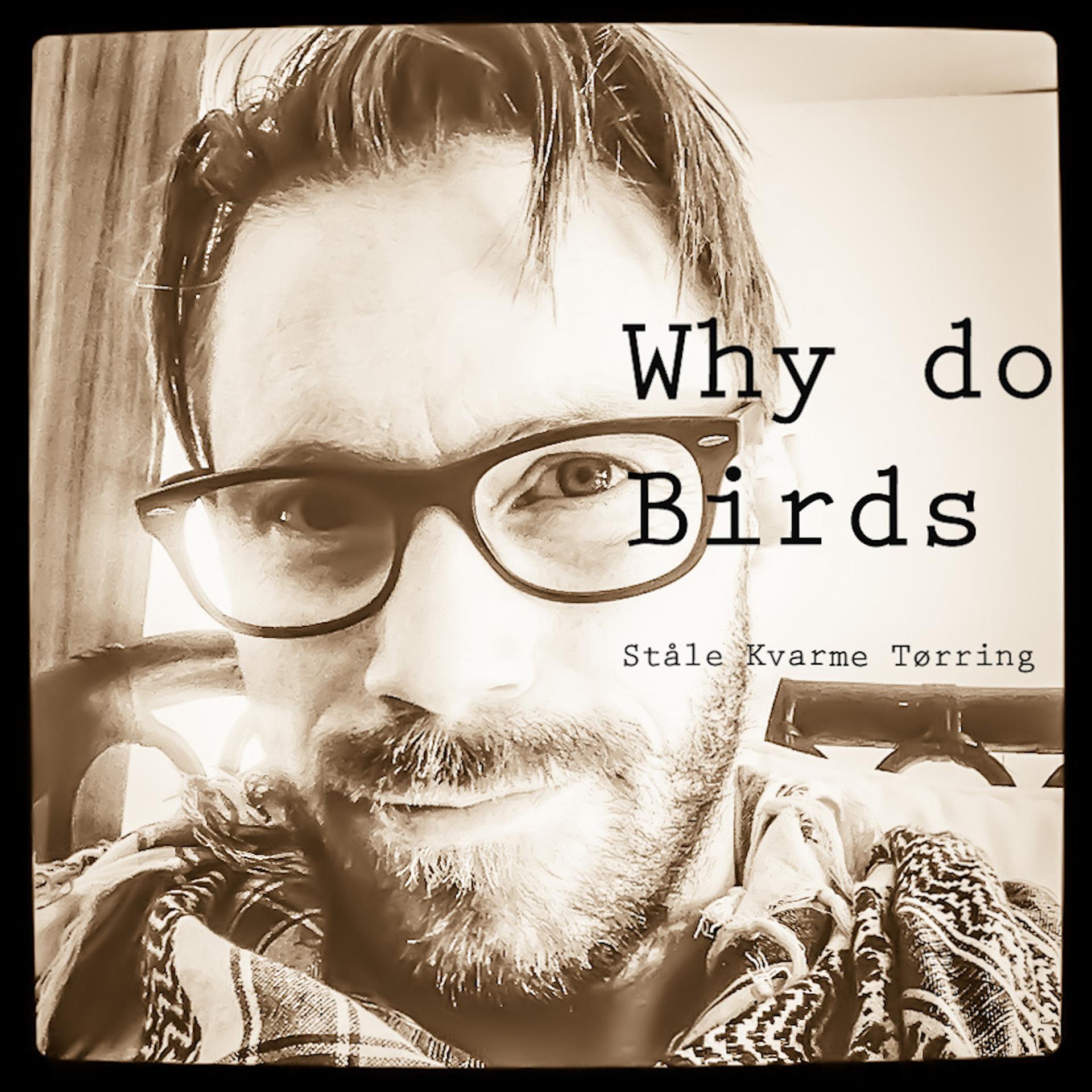 Постер альбома Why Do Birds