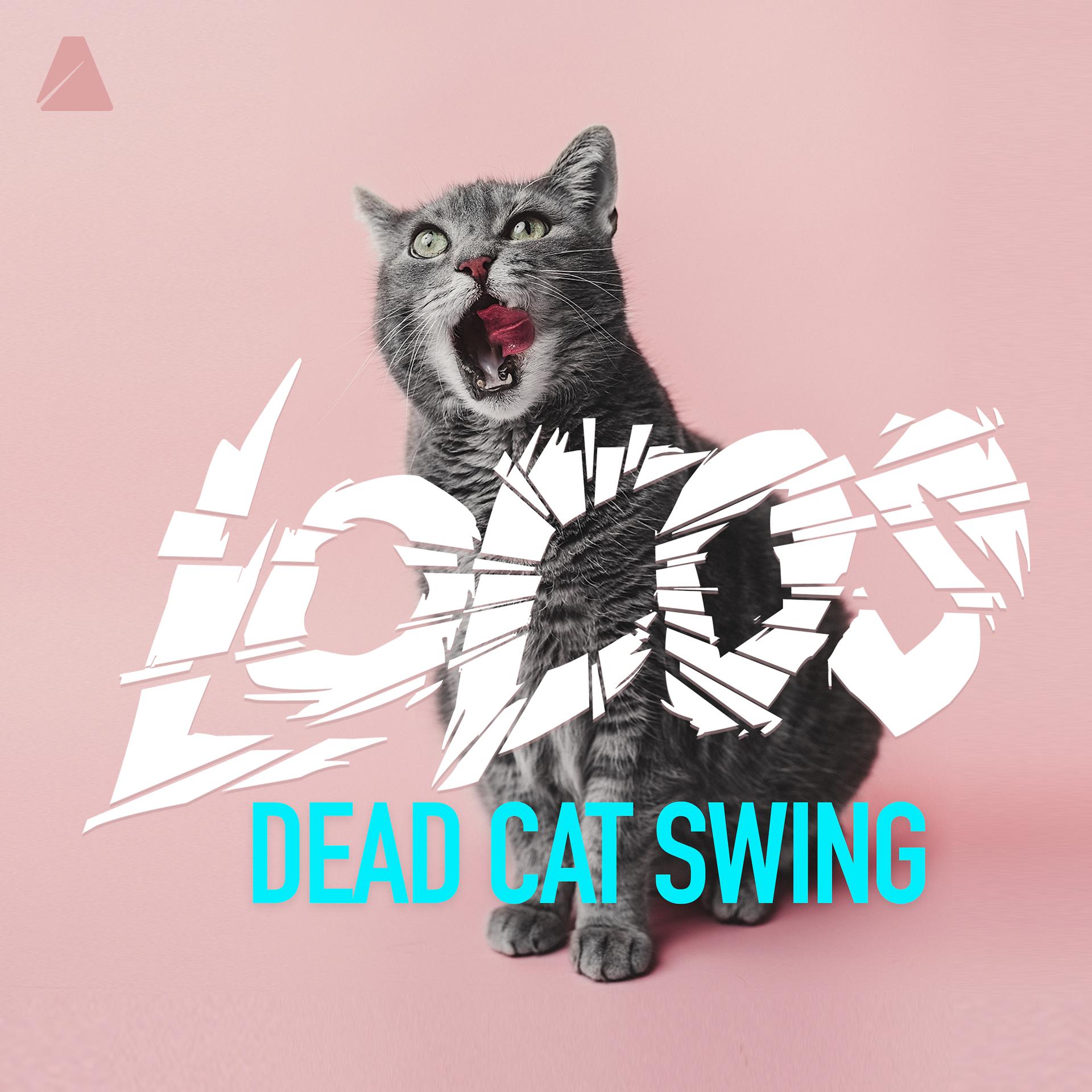 Постер альбома Dead Cat Swing