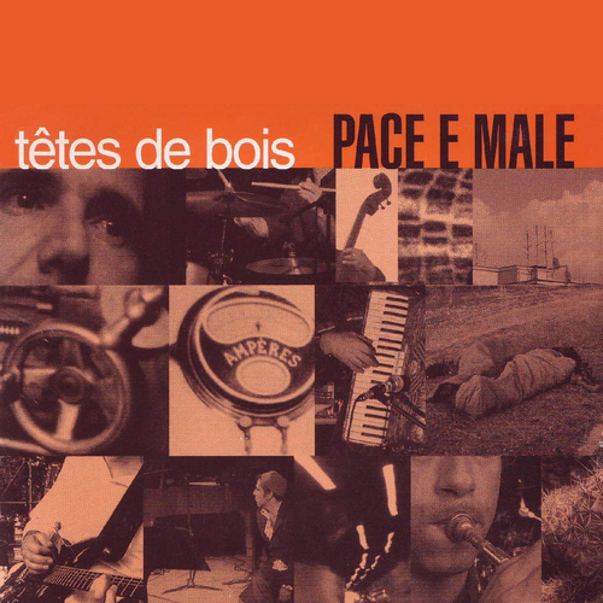 Постер альбома Pace e Male