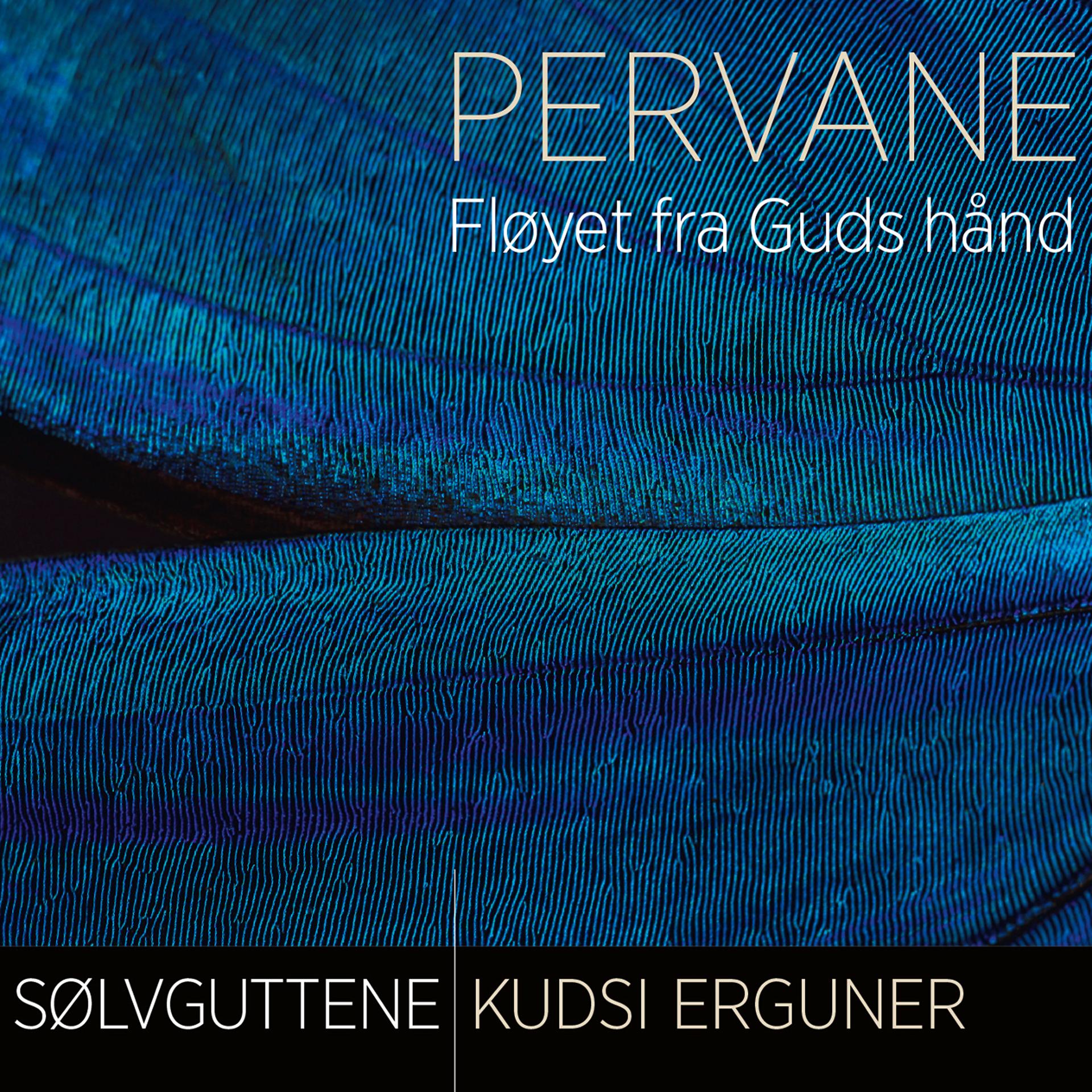 Постер альбома Pervane - Fløyet fra Guds hånd