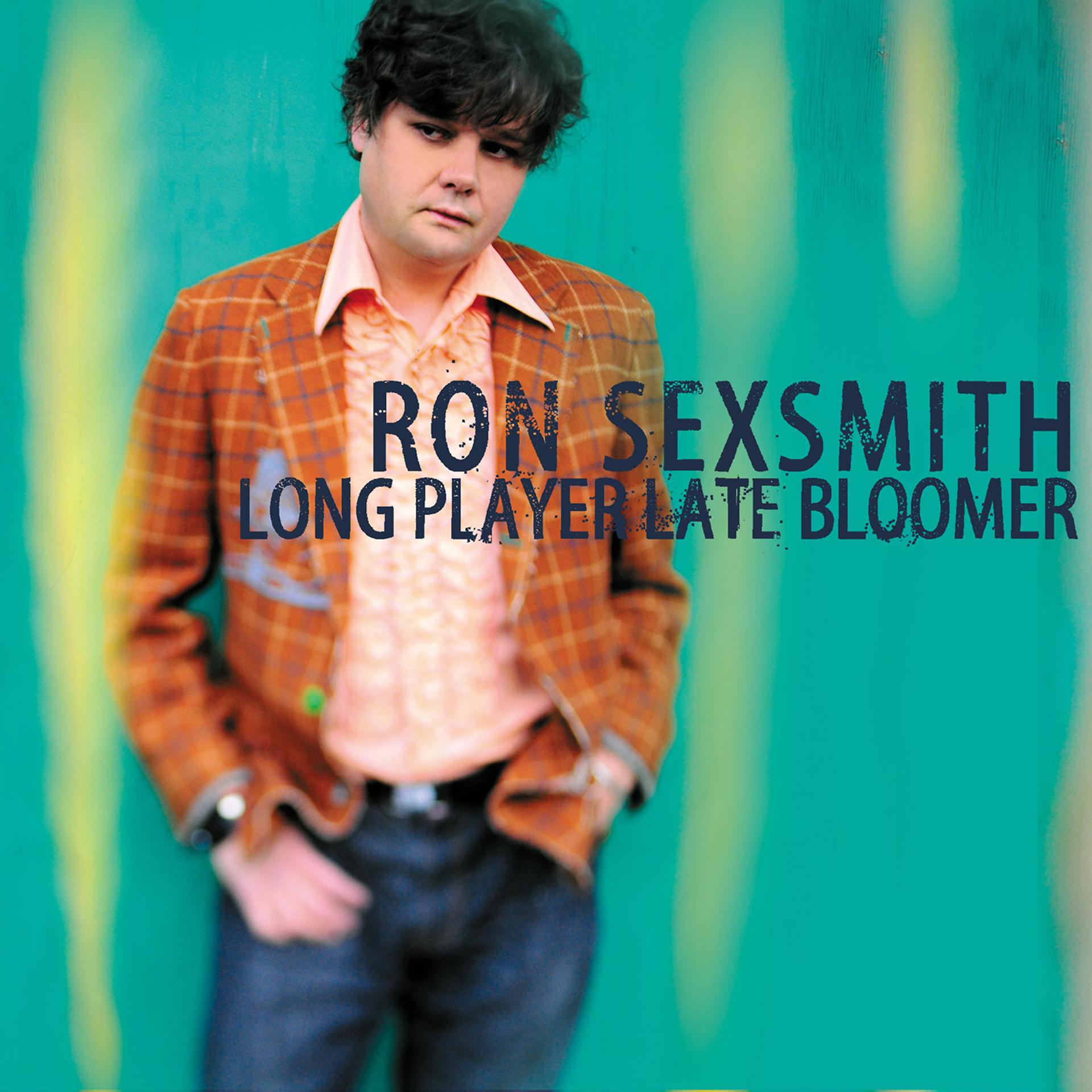 Постер к треку Ron Sexsmith - The Reason Why