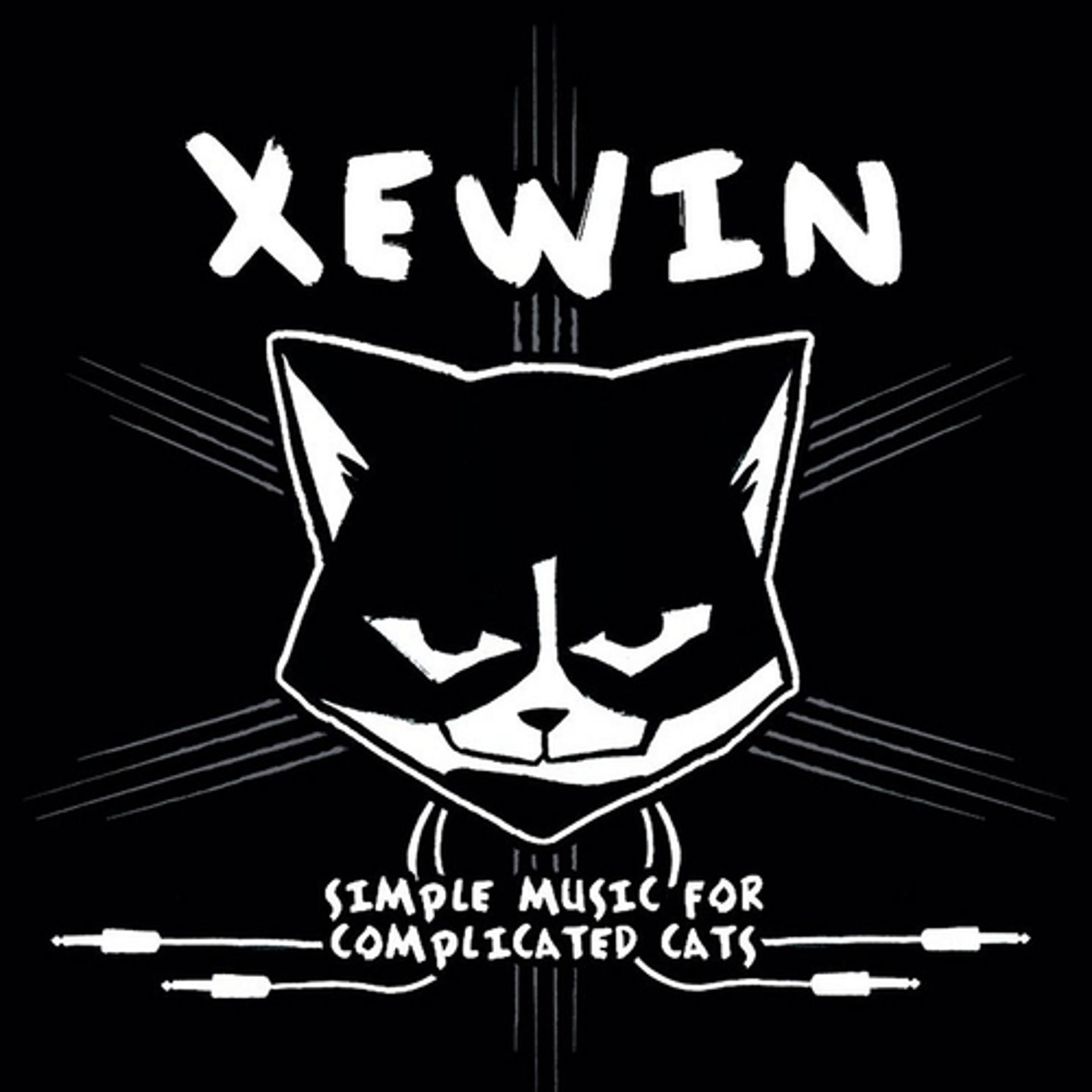Постер альбома Simple Music for Complicated Cats