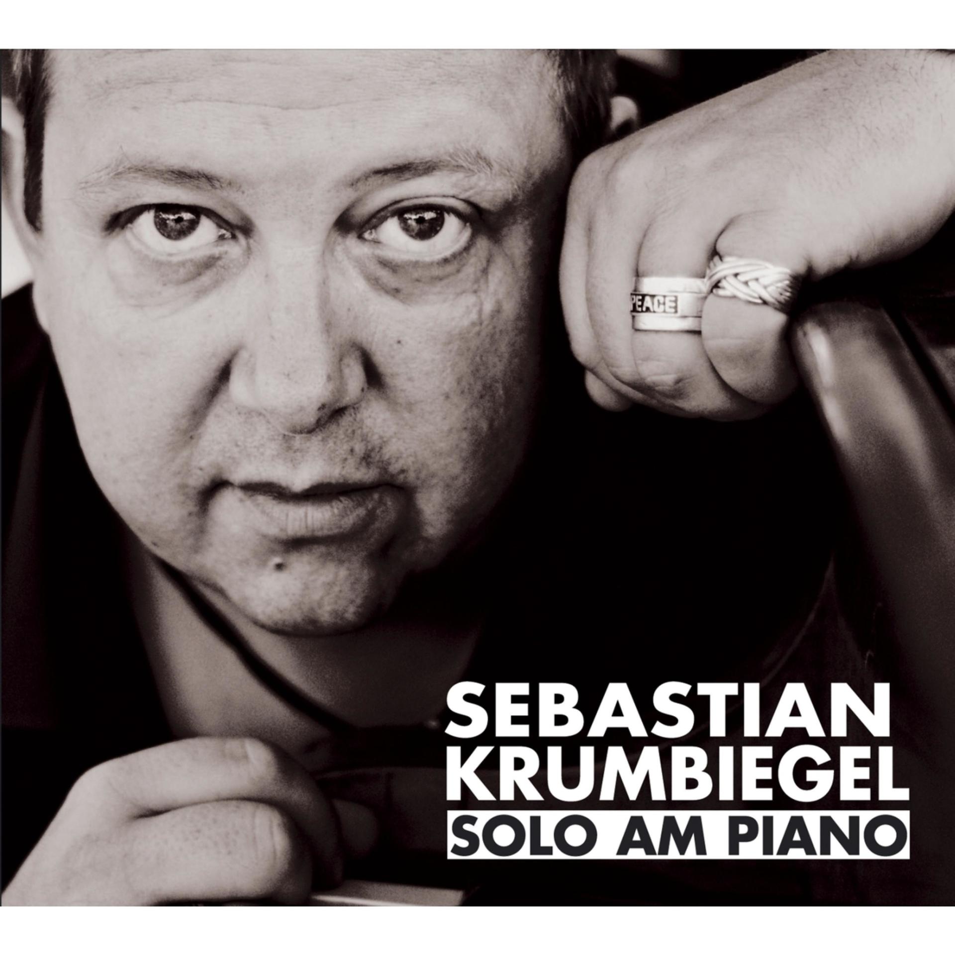 Постер альбома Solo am Piano