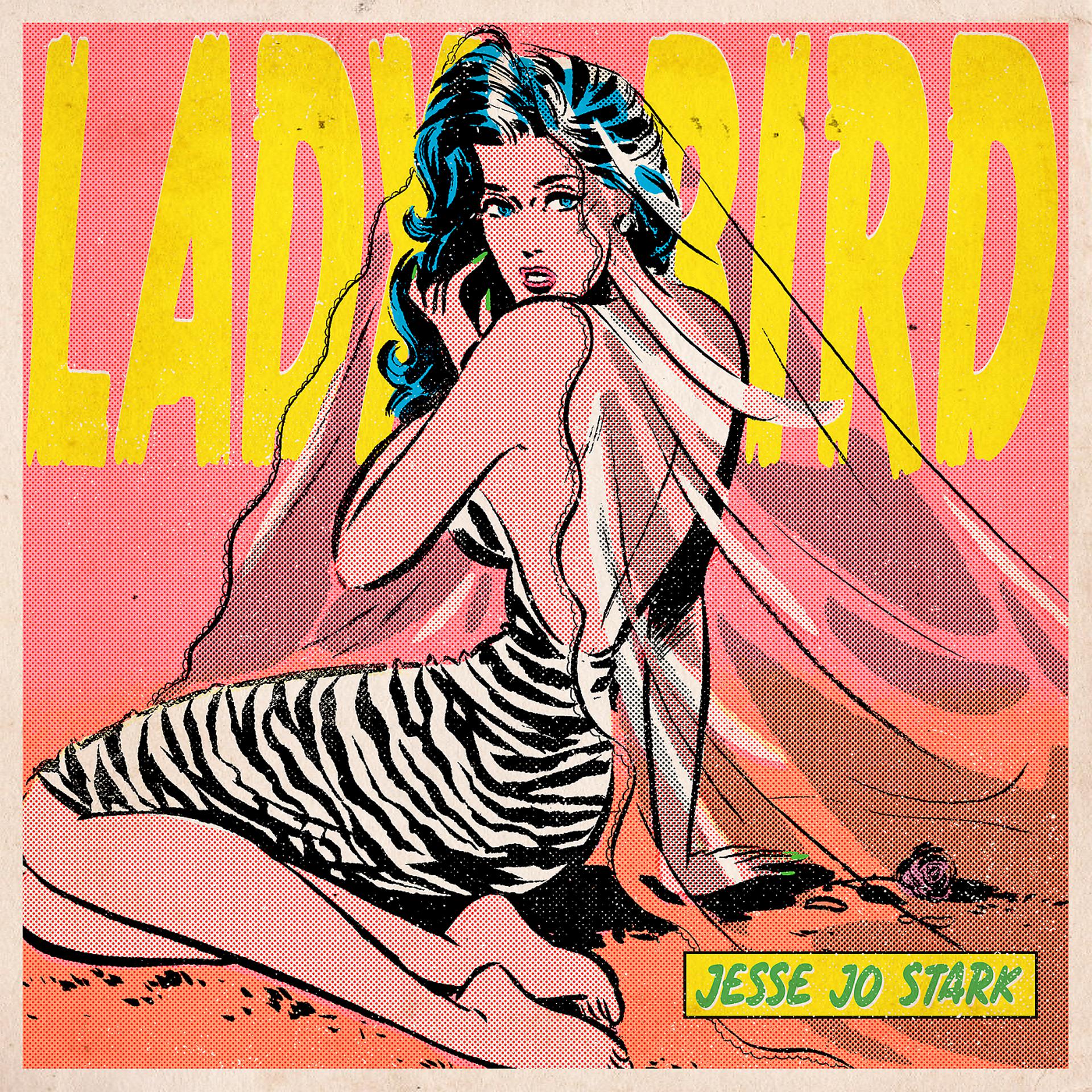 Постер альбома Lady Bird