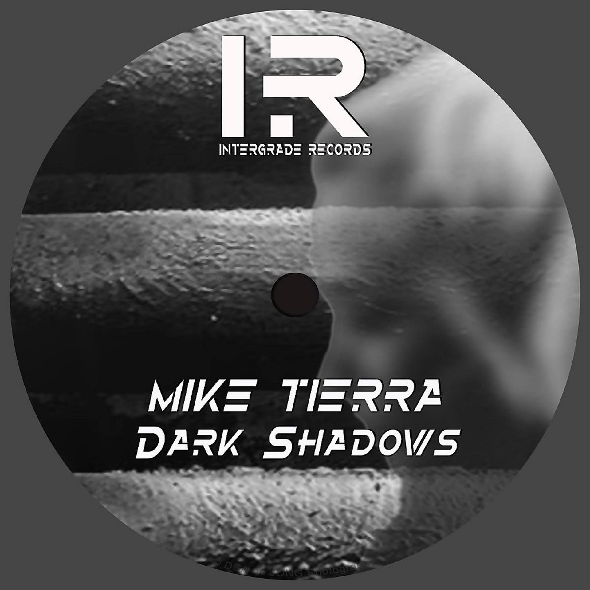 Постер альбома Dark Shadows