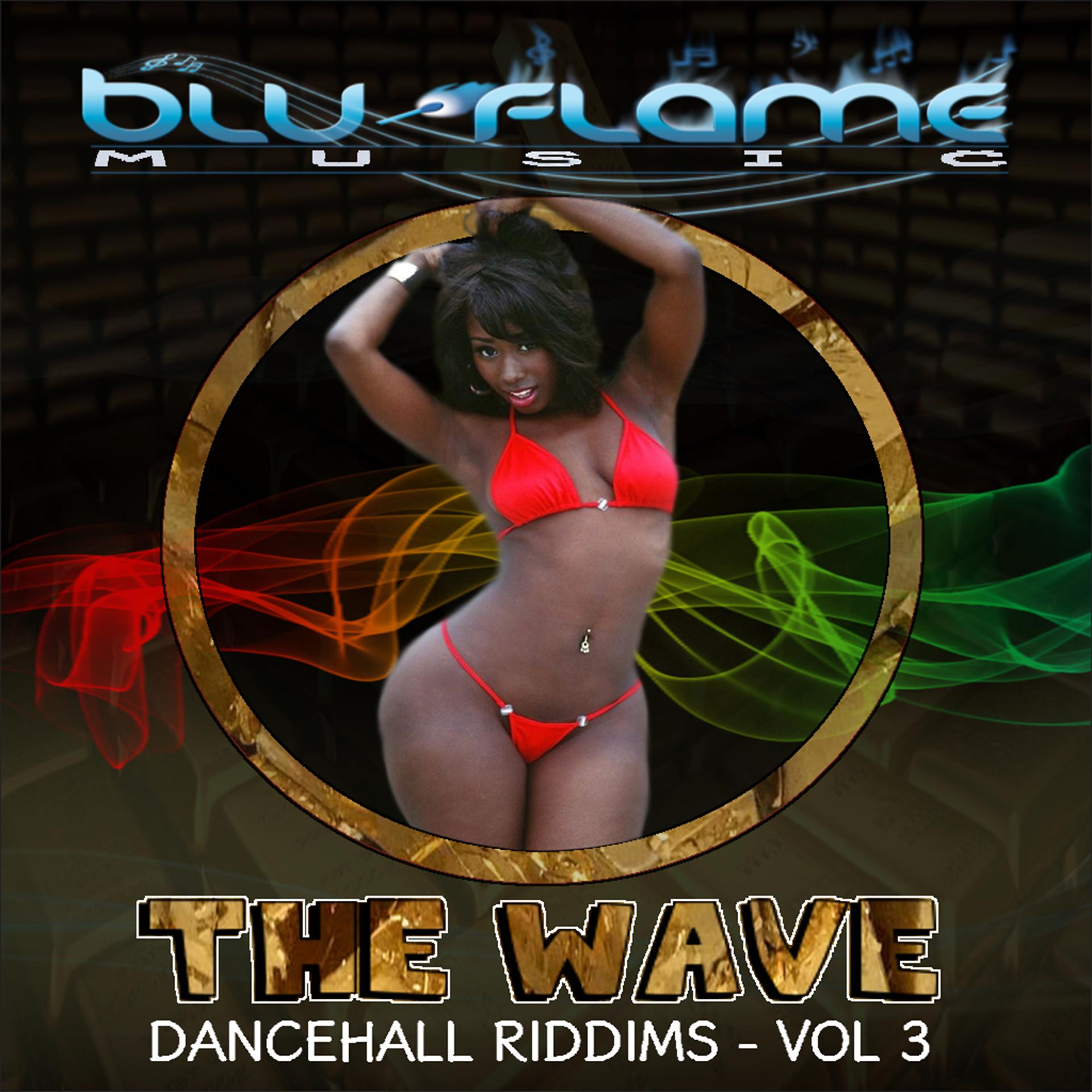 Постер альбома The Wave: Dancehall Riddims, Vol. 3