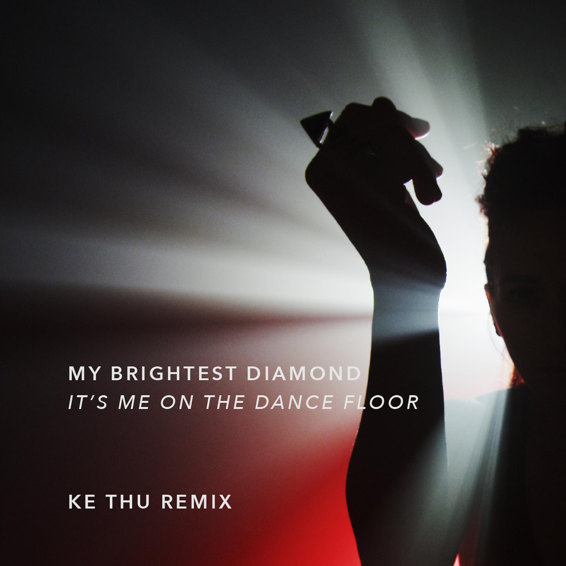 Постер альбома It's Me on the Dance Floor (Ke Thu Remix)