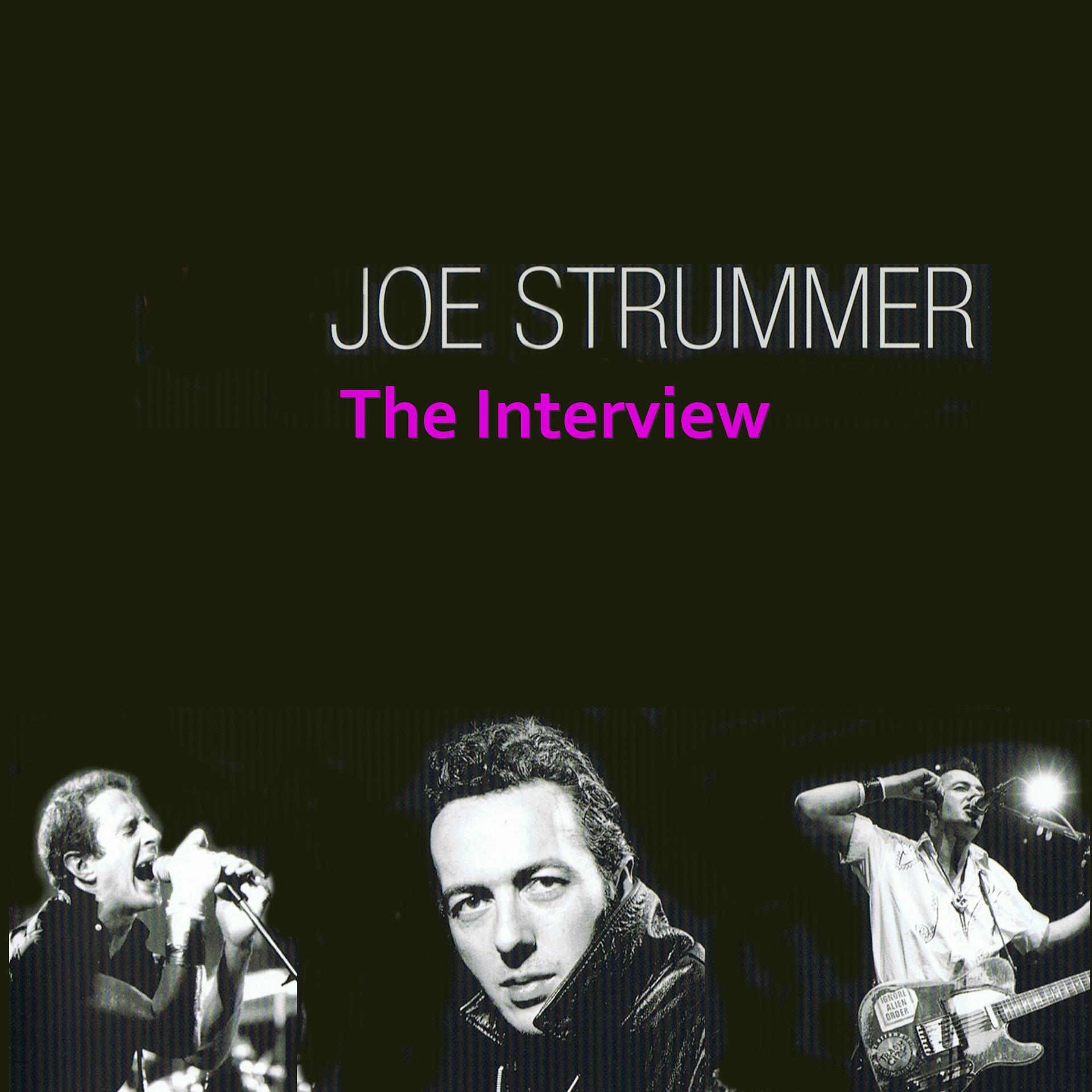 Постер альбома The Interviews