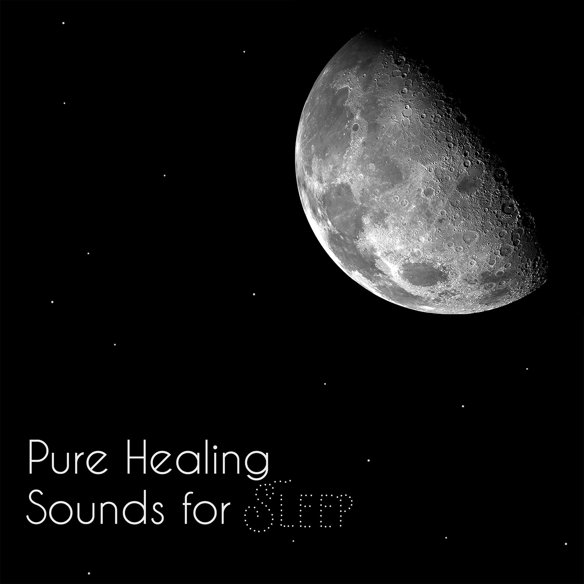 Постер альбома Pure Healing Sounds for Sleep
