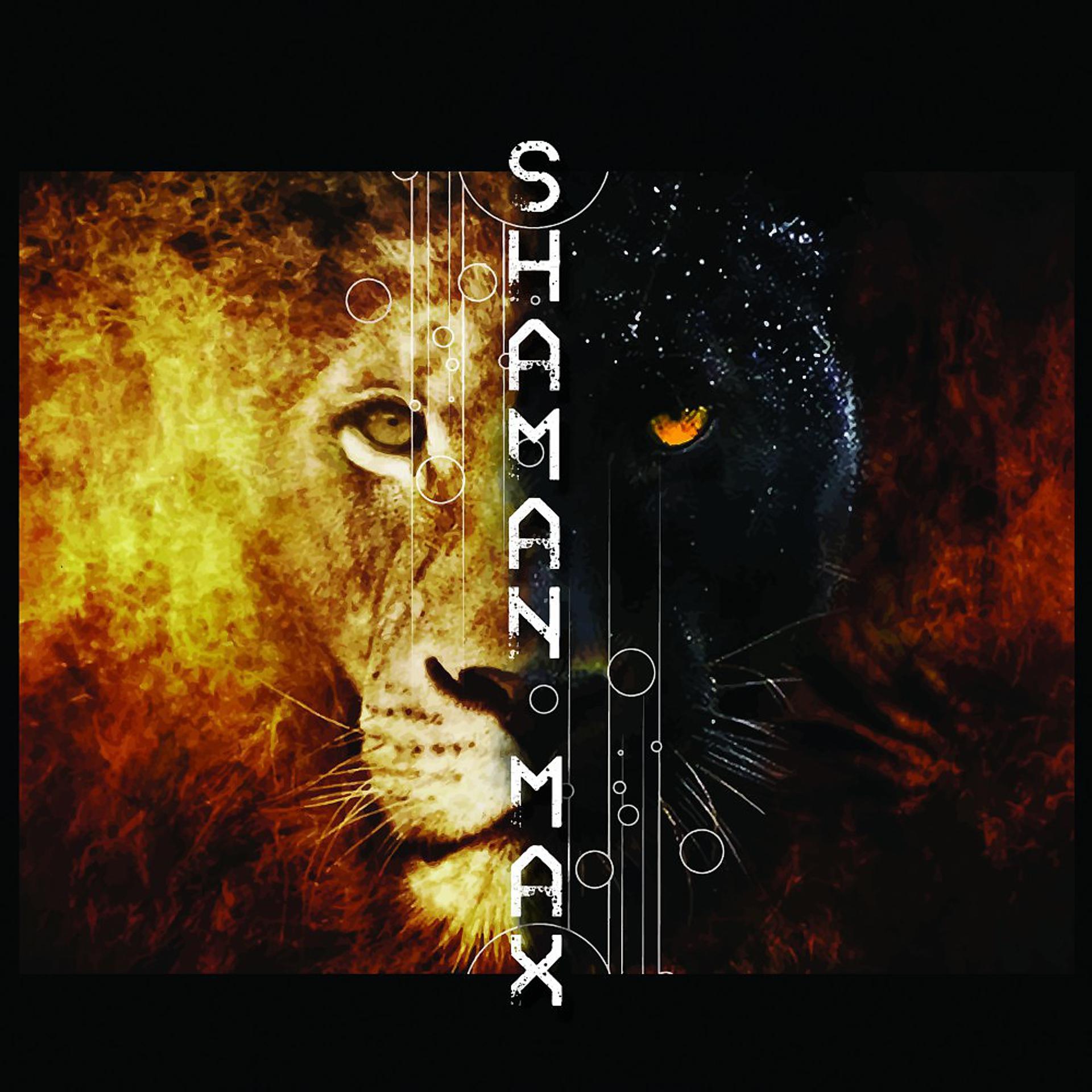Постер альбома Shaman & Max