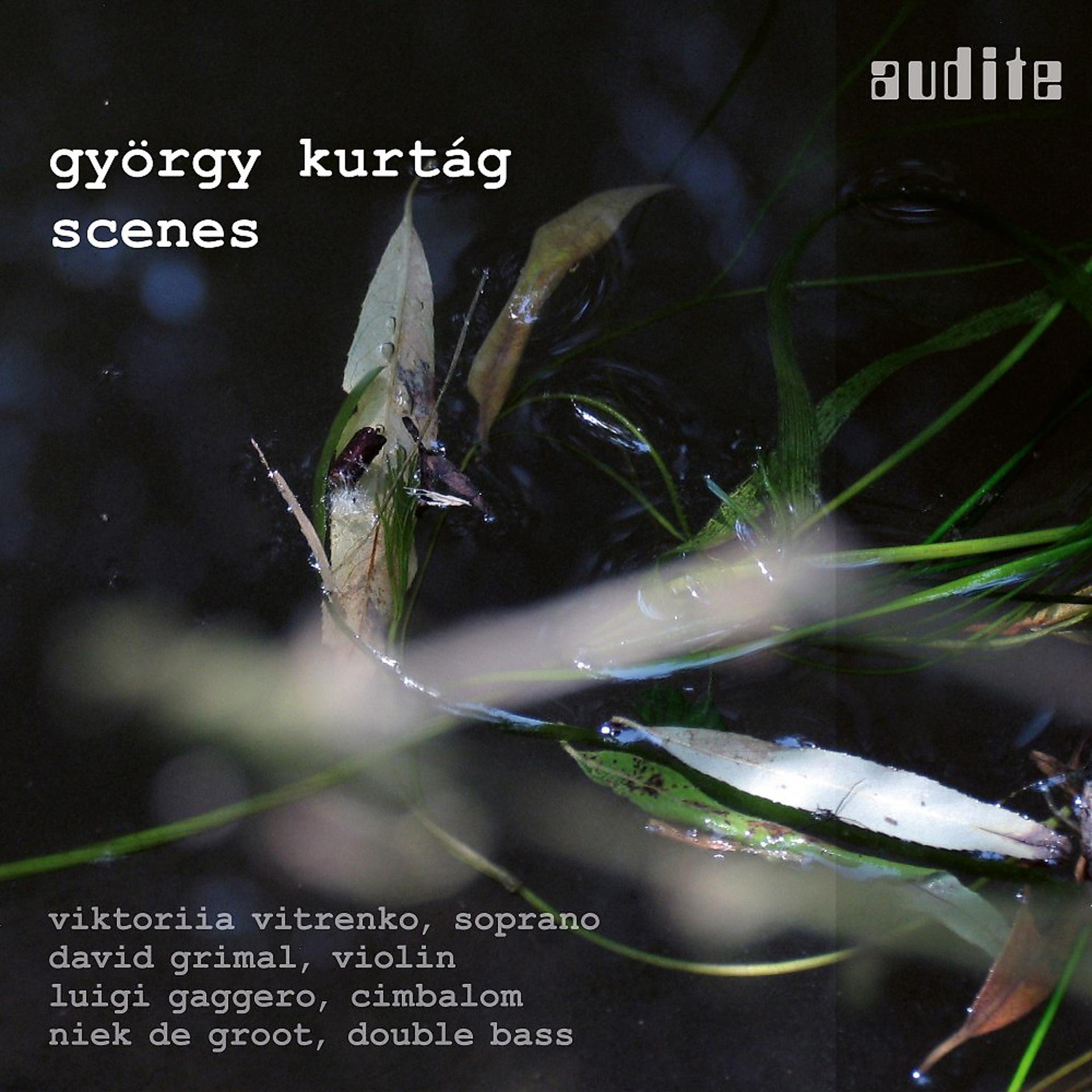 Постер альбома György Kurtág: Scenes (Scenes from a Novel, Op. 19, Eight Duos for Violin and Cimbalom, Op. 4, Seven Songs, Op. 22, In memory of a Winter evening, Op. 8, Several Movements from Georg Christoph Lichtenberg's Sudelbücher 'Scrapbooks', Op. 37a & Hommage à Berényi Ferenc 70)