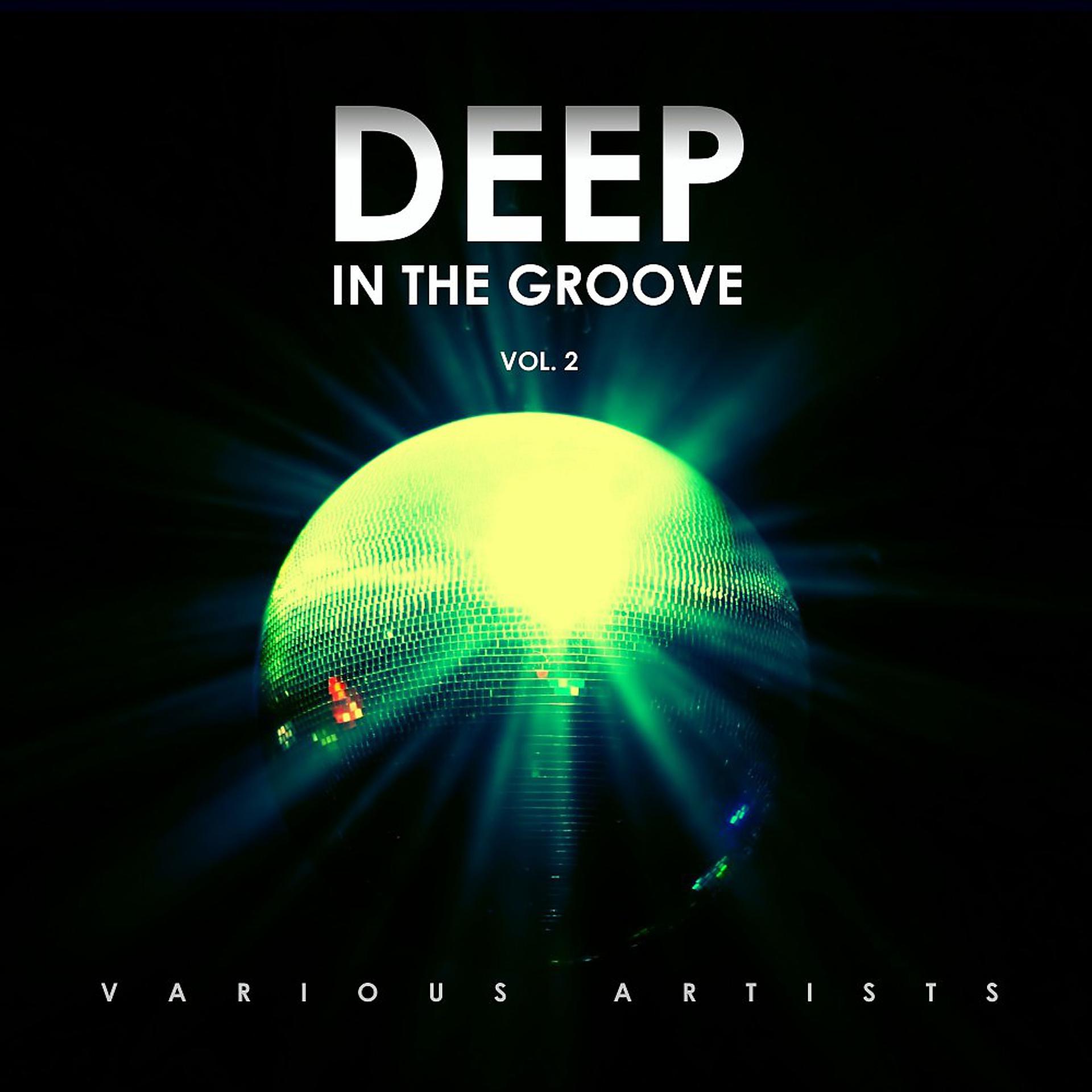 Постер альбома Deep in the Groove, Vol. 2