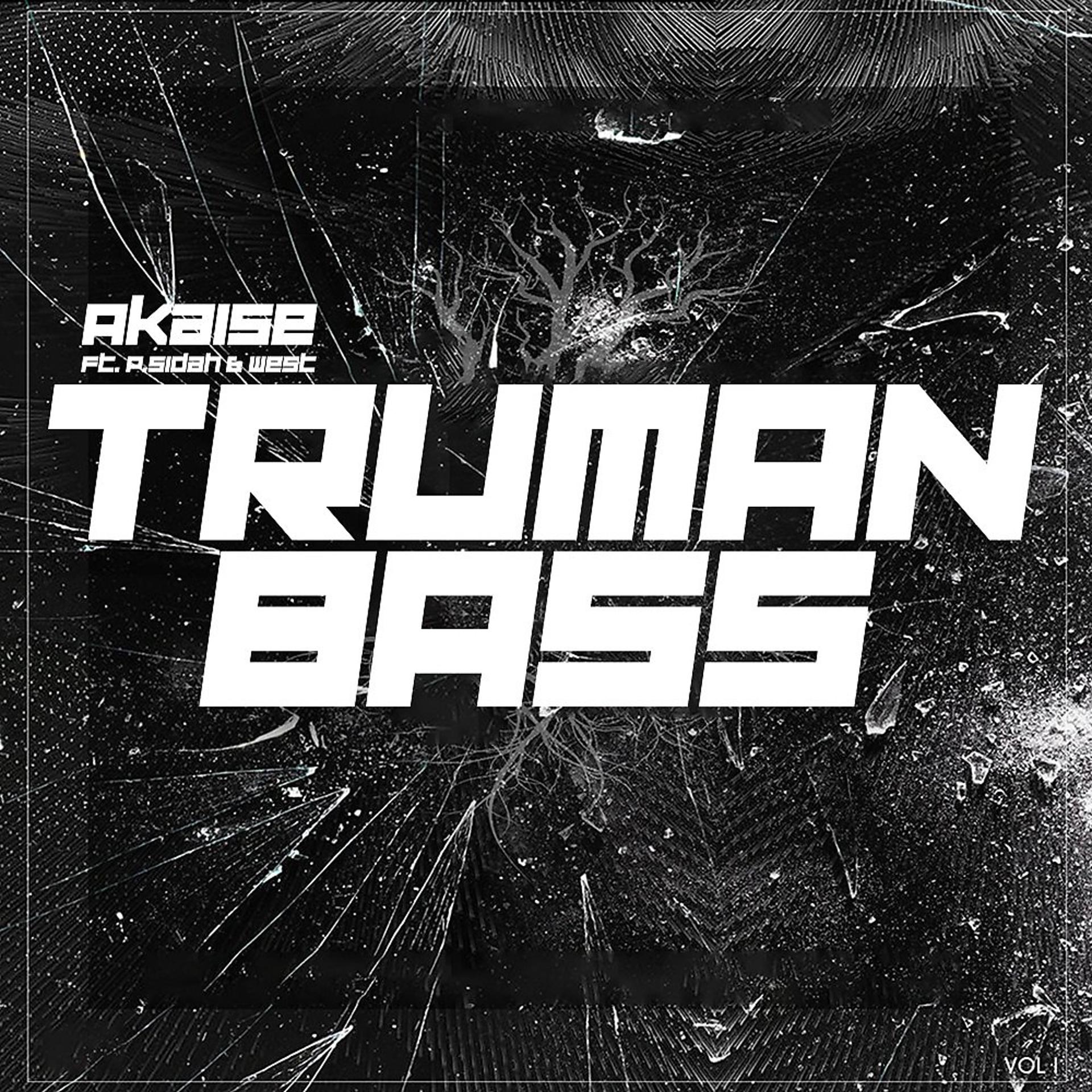 Постер альбома Truman Bass