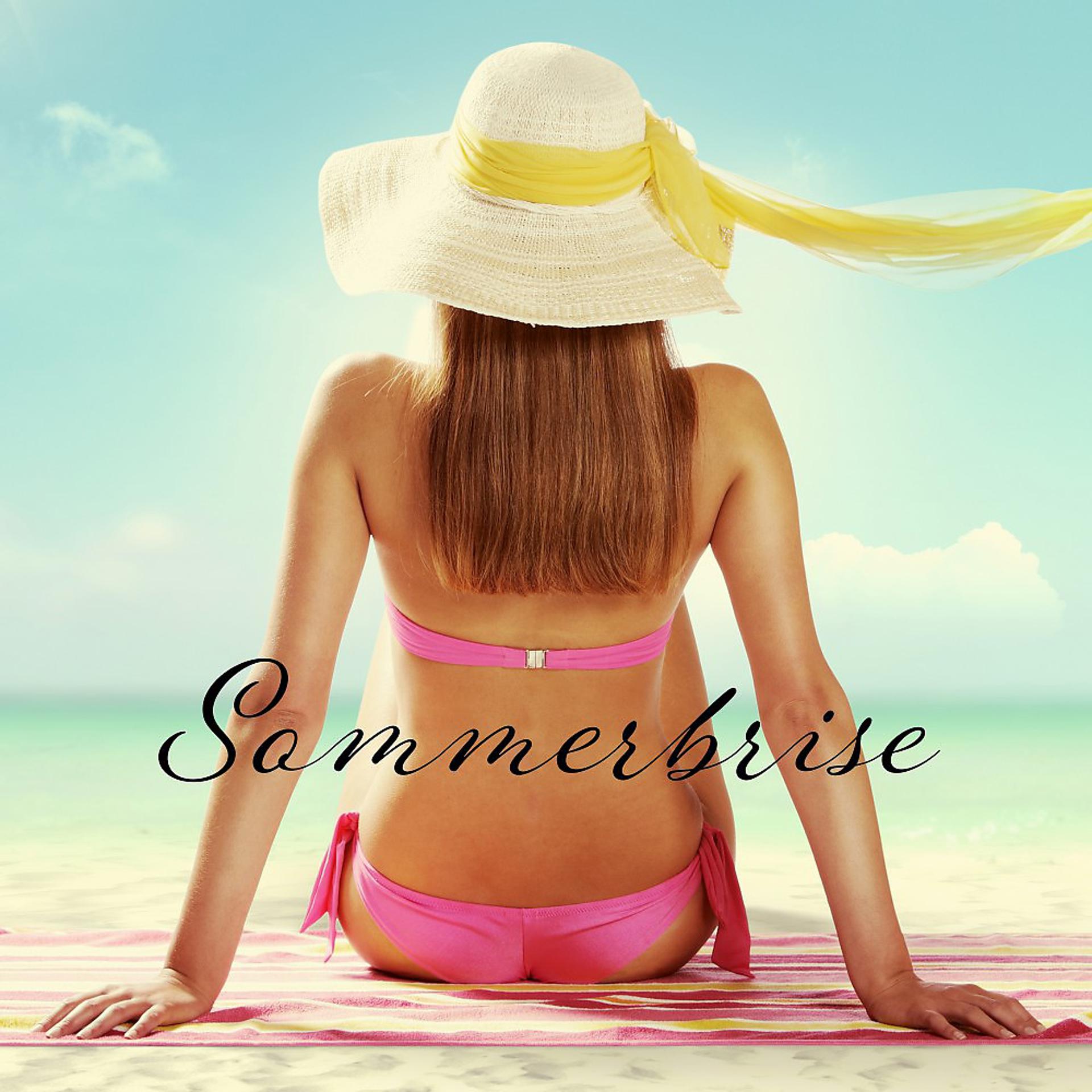 Постер альбома Sommerbrise