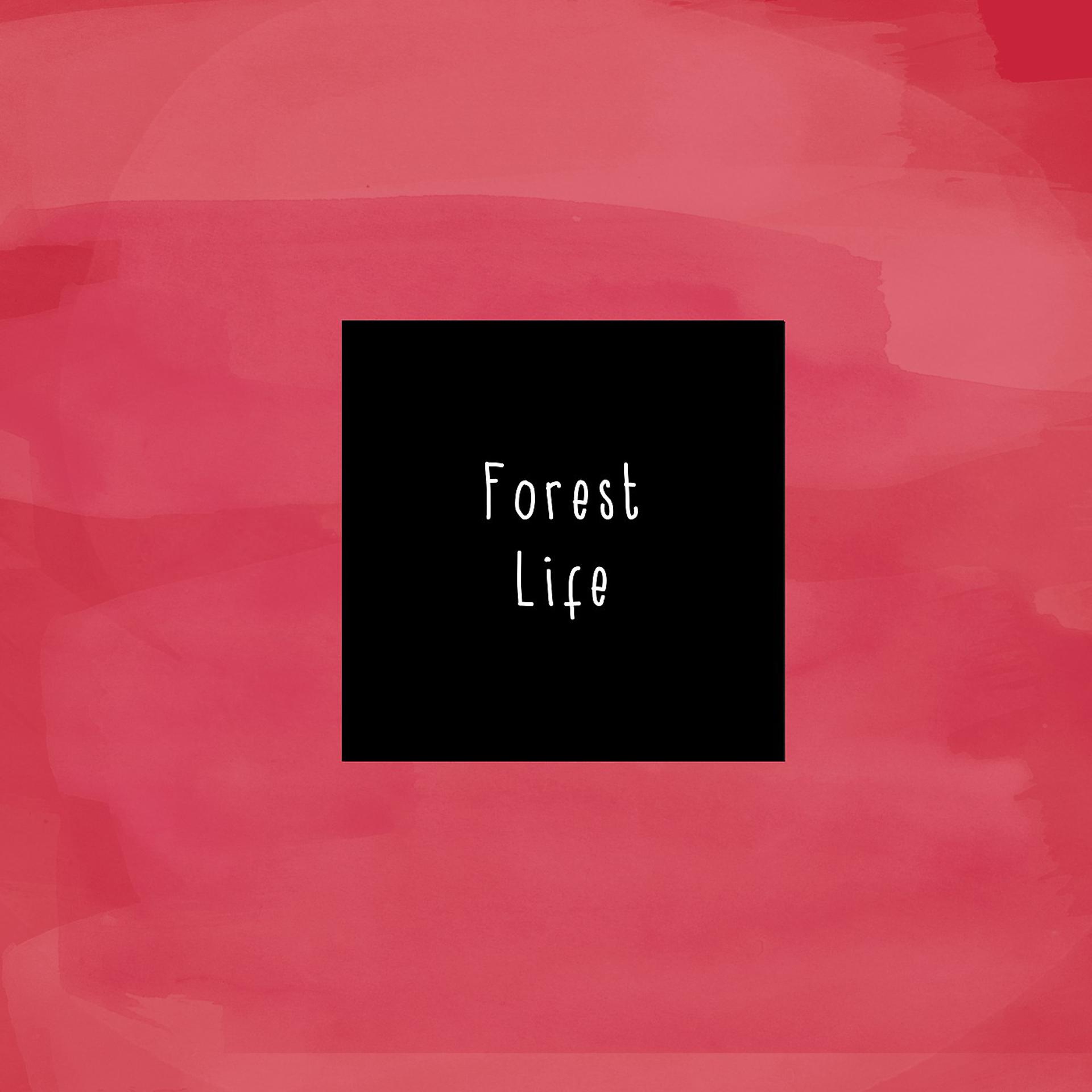 Постер альбома Forest Life