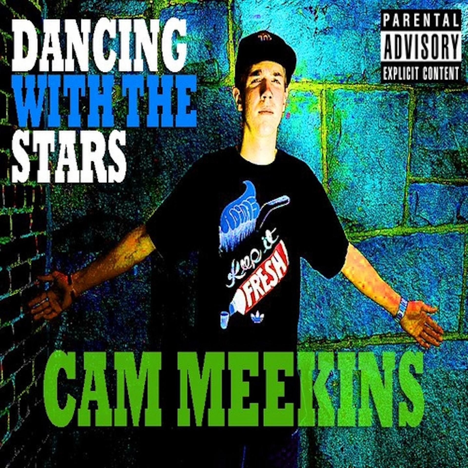 Постер альбома Dancing With the Stars