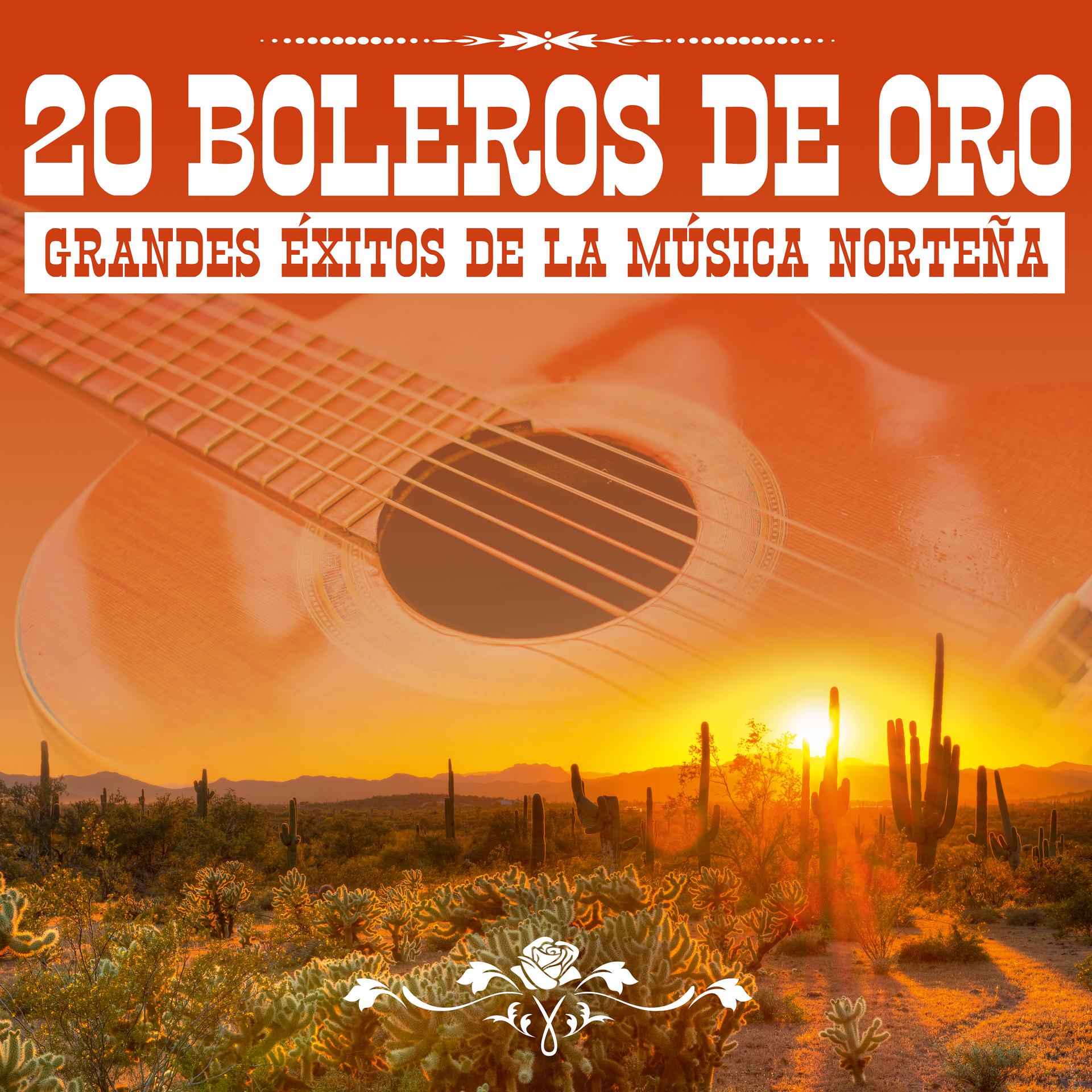 Постер альбома 20 Boleros de Oro: Grandes Éxitos de la Música Norteña