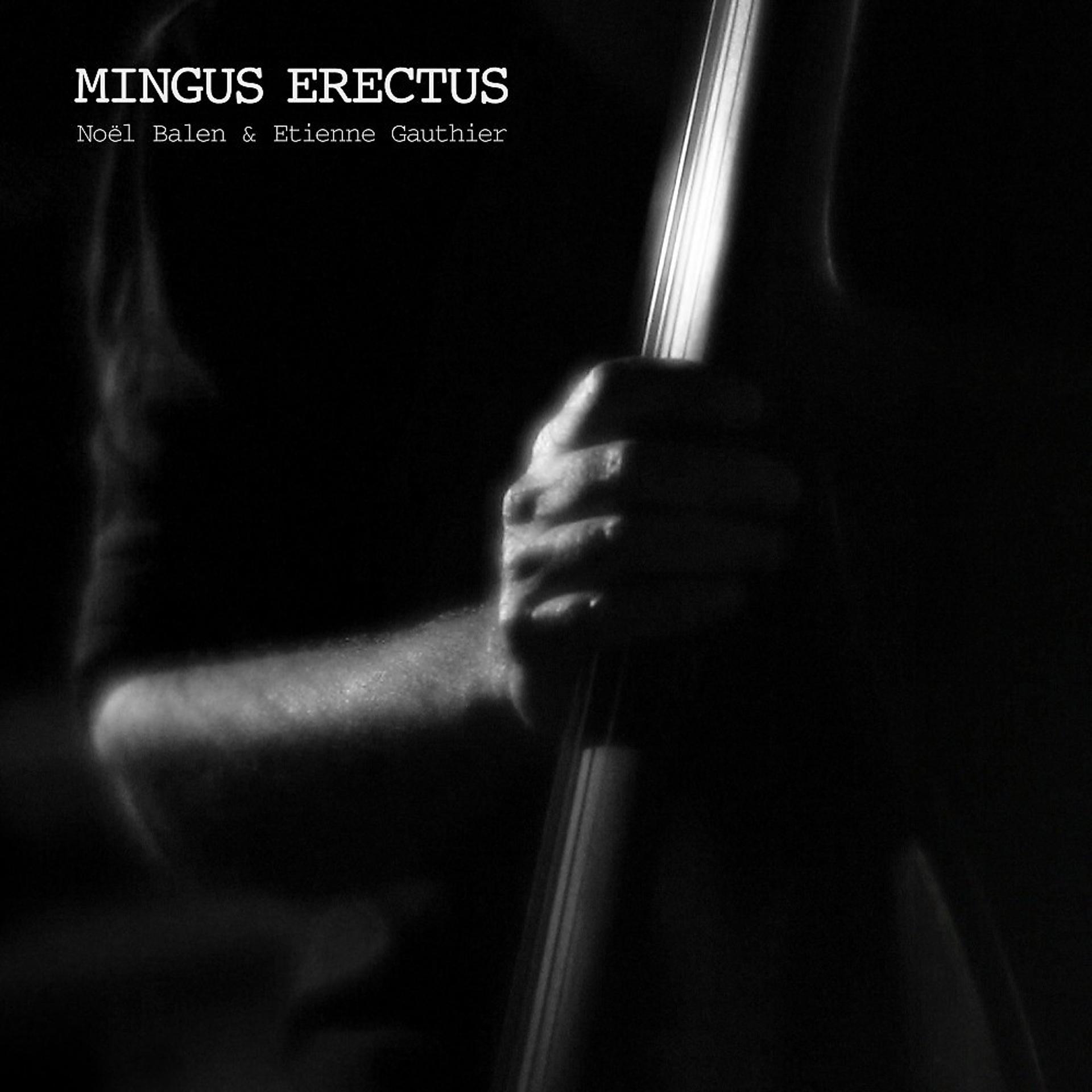 Постер альбома Mingus Erectus