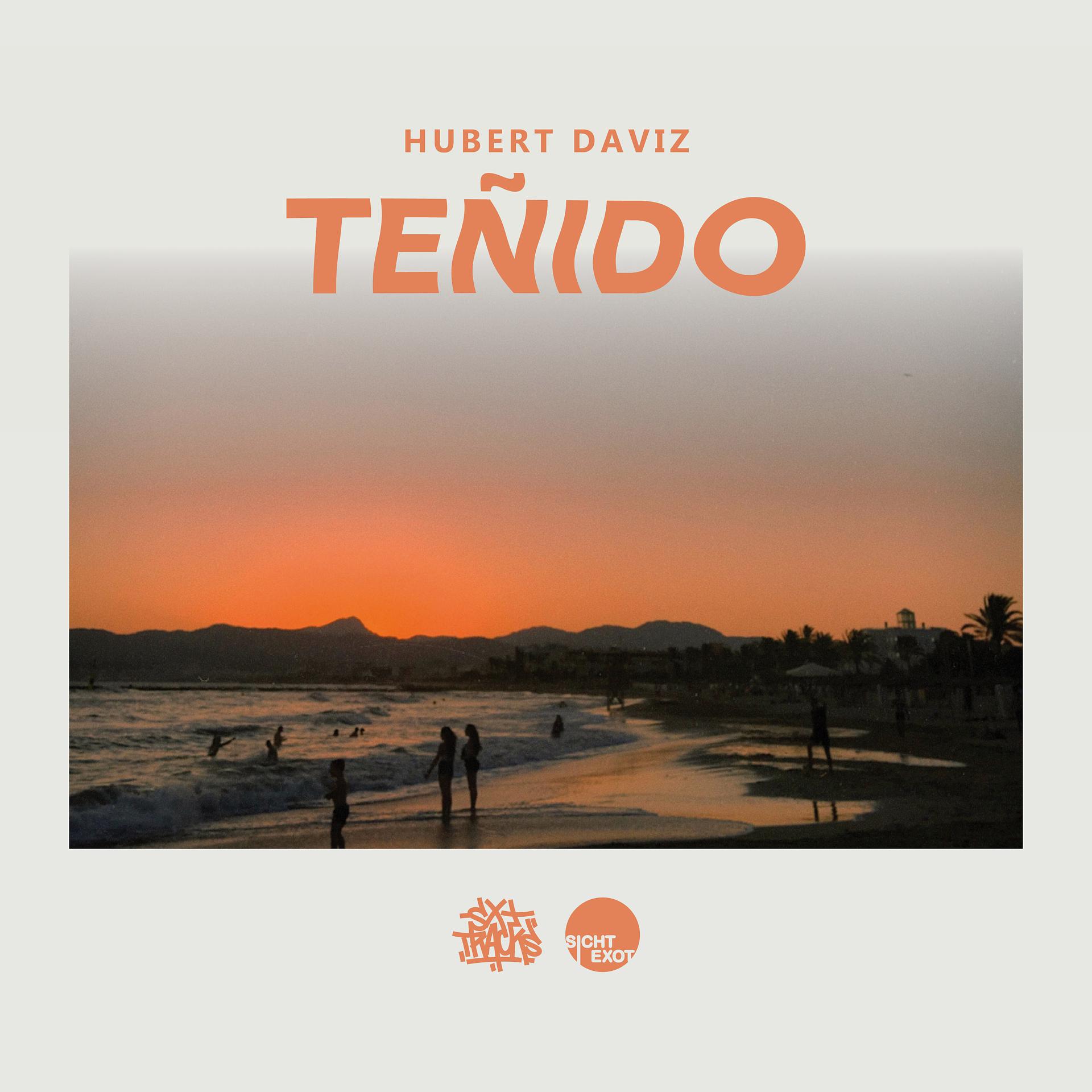 Постер альбома Teñido