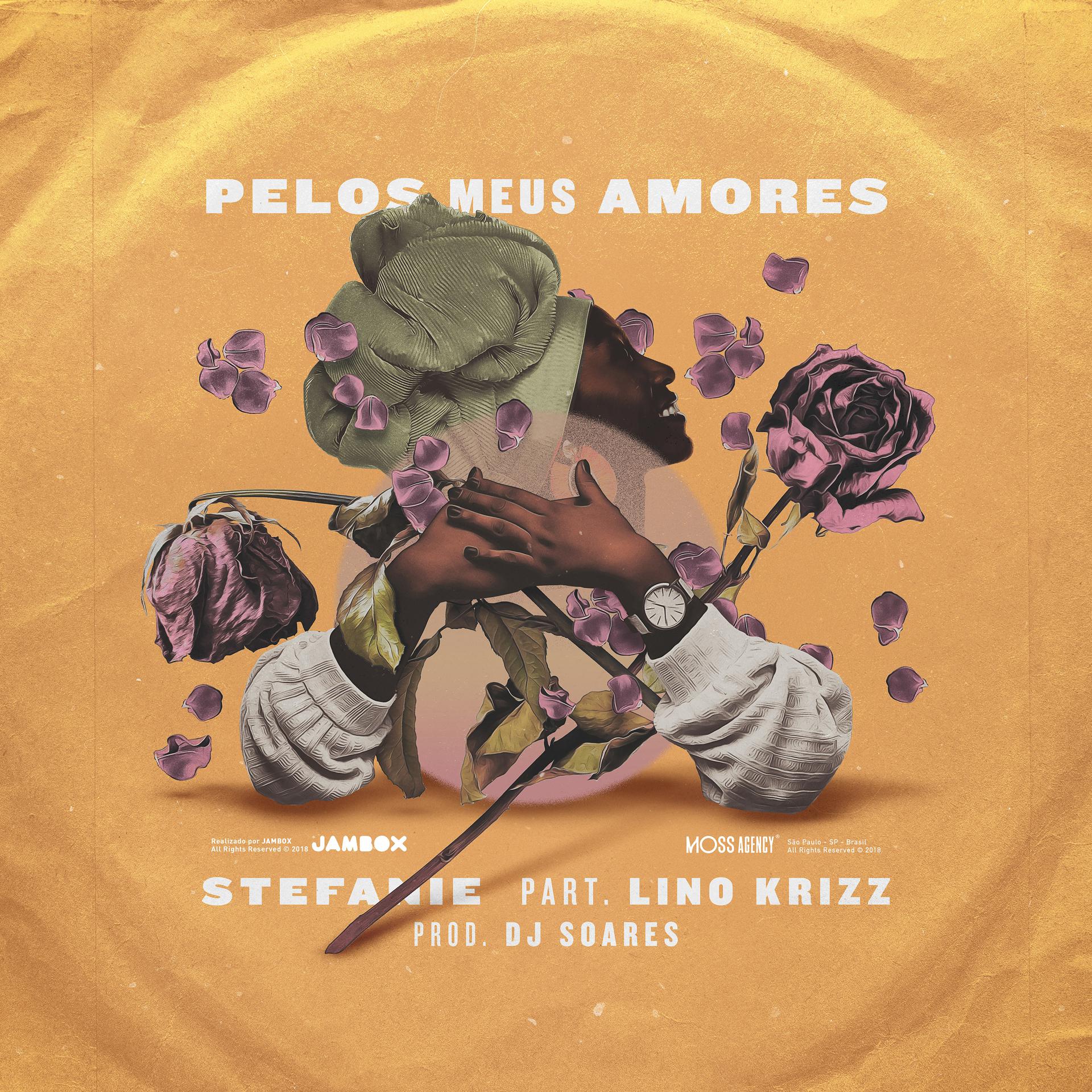 Постер альбома Pelos Meus Amores