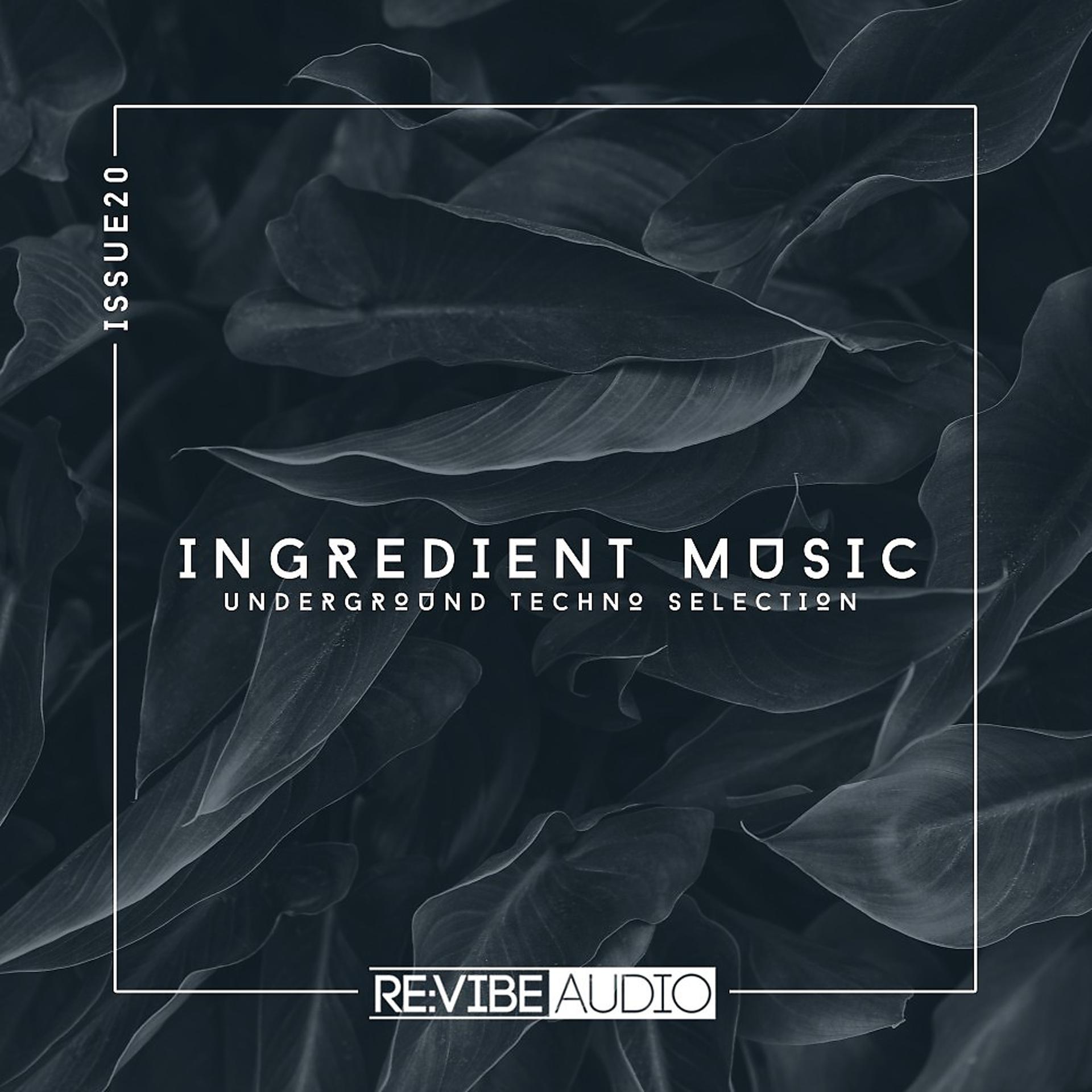 Постер альбома Ingredient Music, Vol. 20