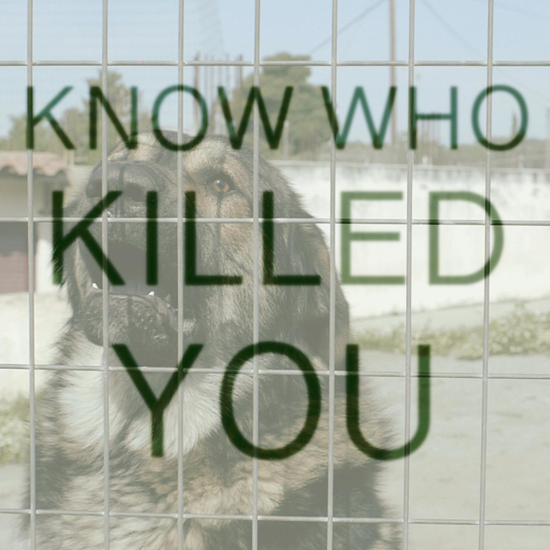 Постер альбома Know Who Killed You