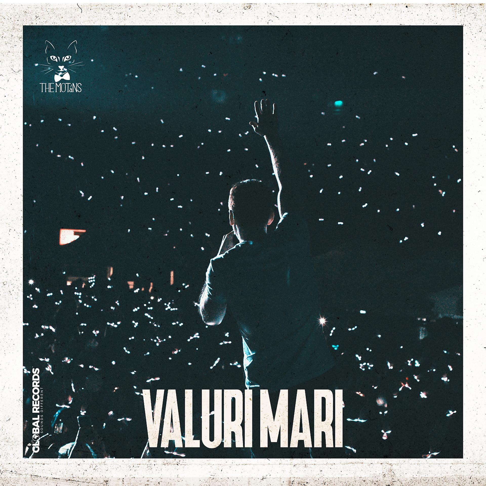 Постер альбома Valuri Mari
