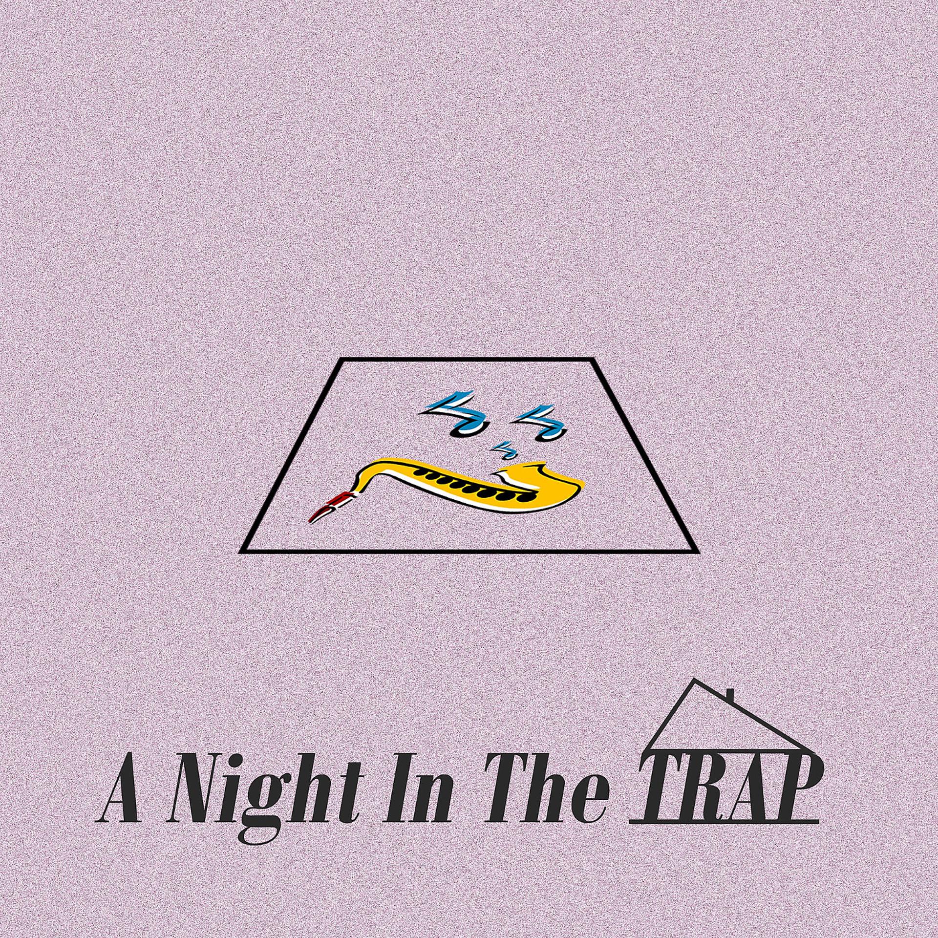 Постер альбома A Night in the Trap