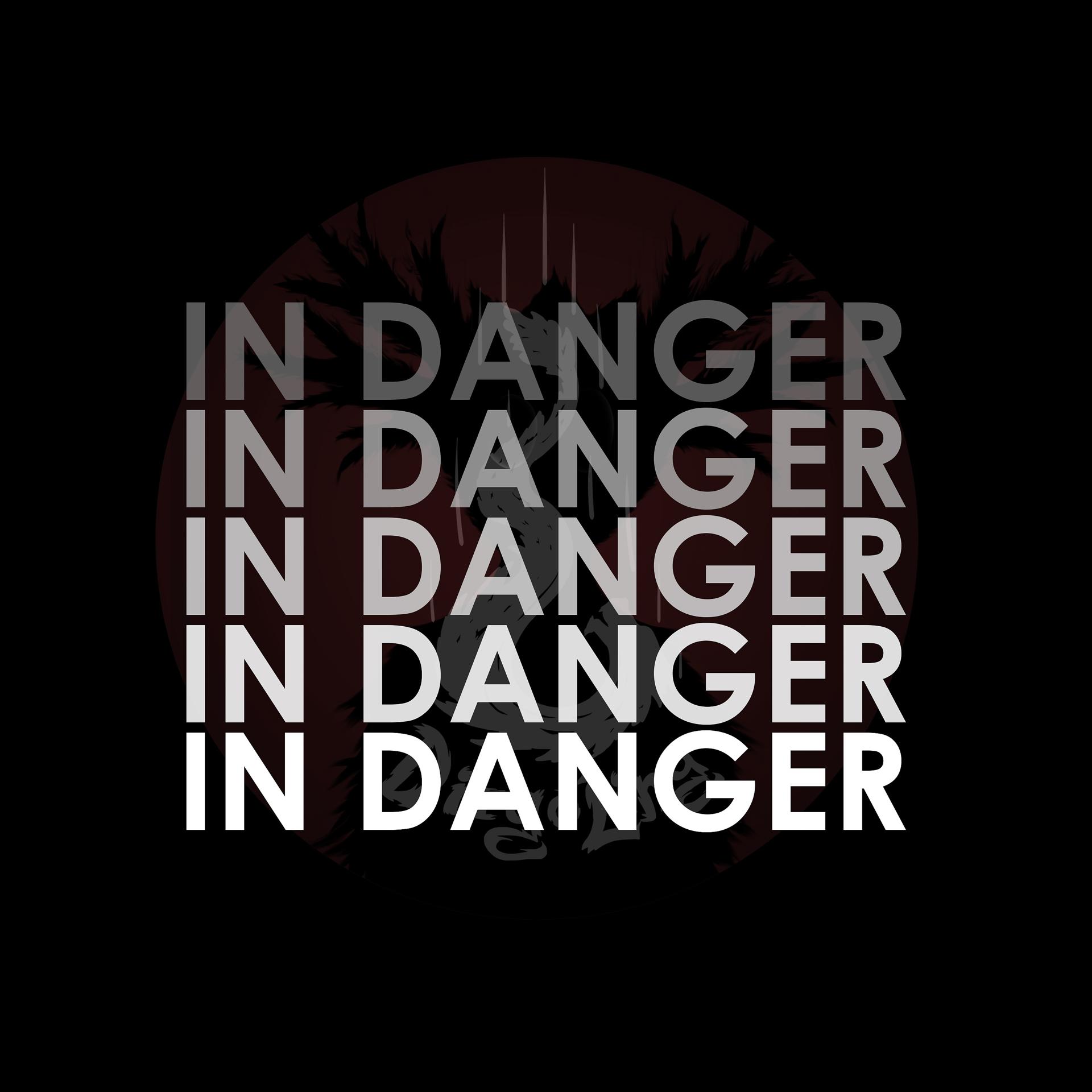 Постер альбома In Danger