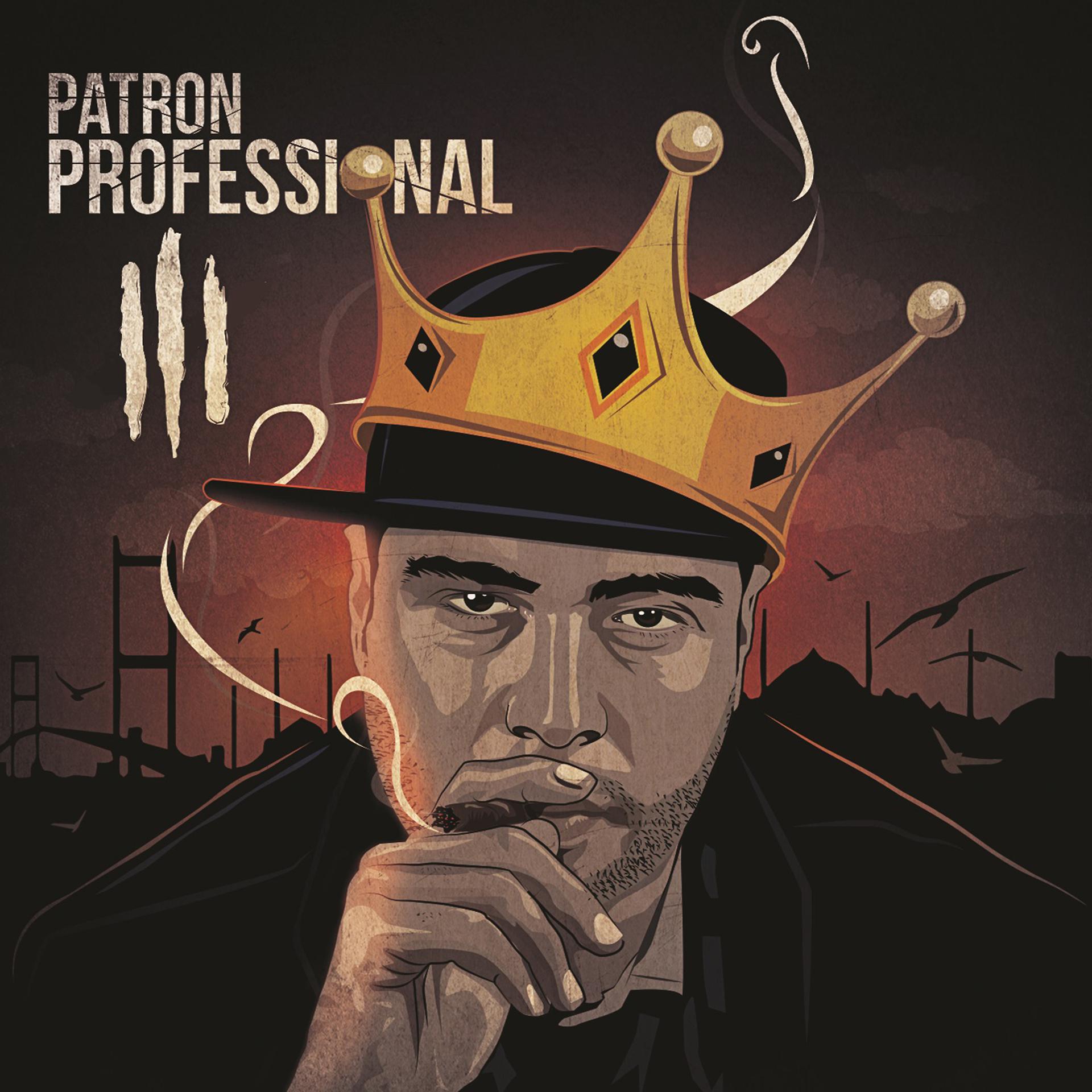 Постер альбома Professional 3