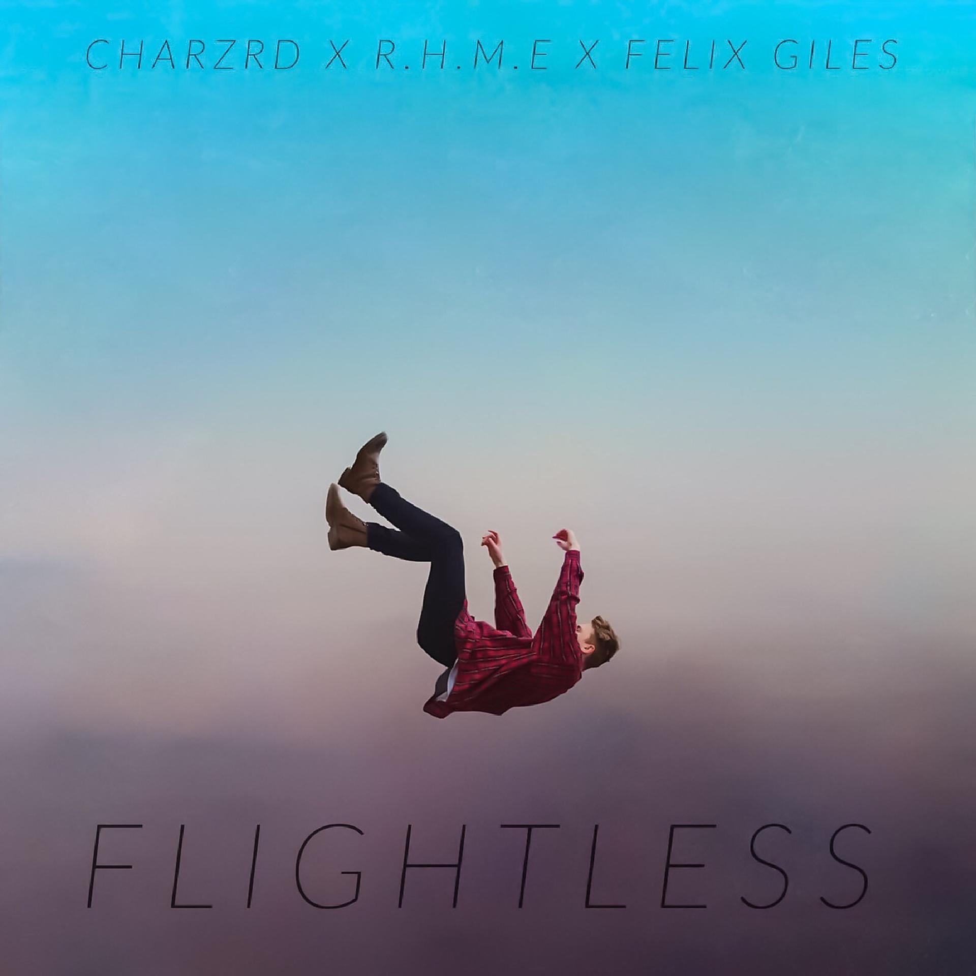 Постер альбома Flightless
