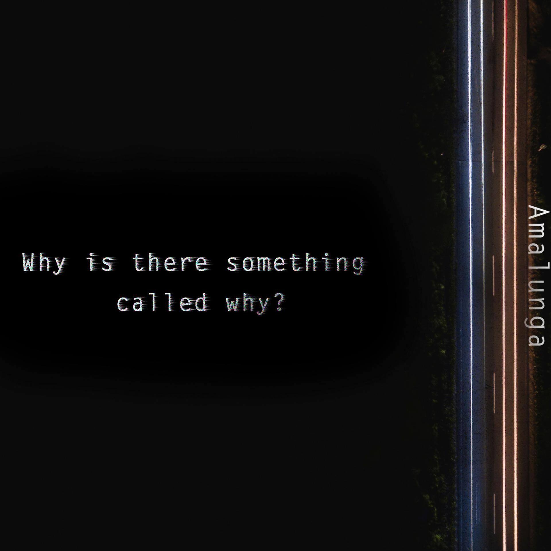 Постер альбома Why Is There Something Called Why