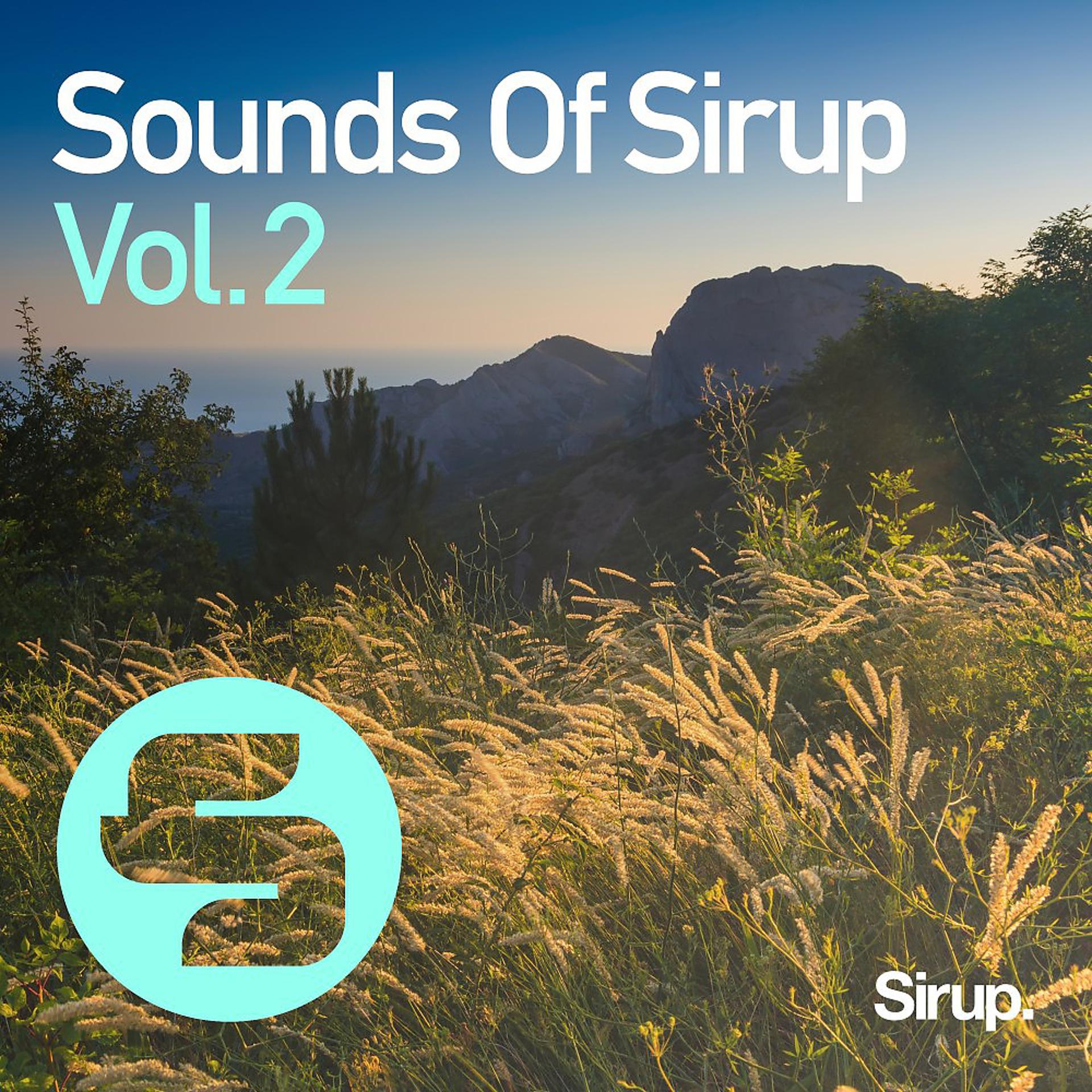 Постер альбома Sounds of Sirup, Vol. 2