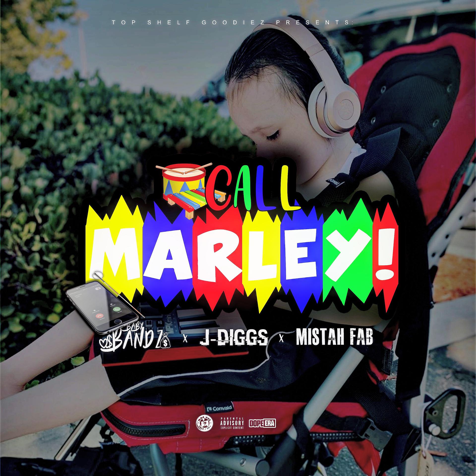 Постер альбома Call Marley