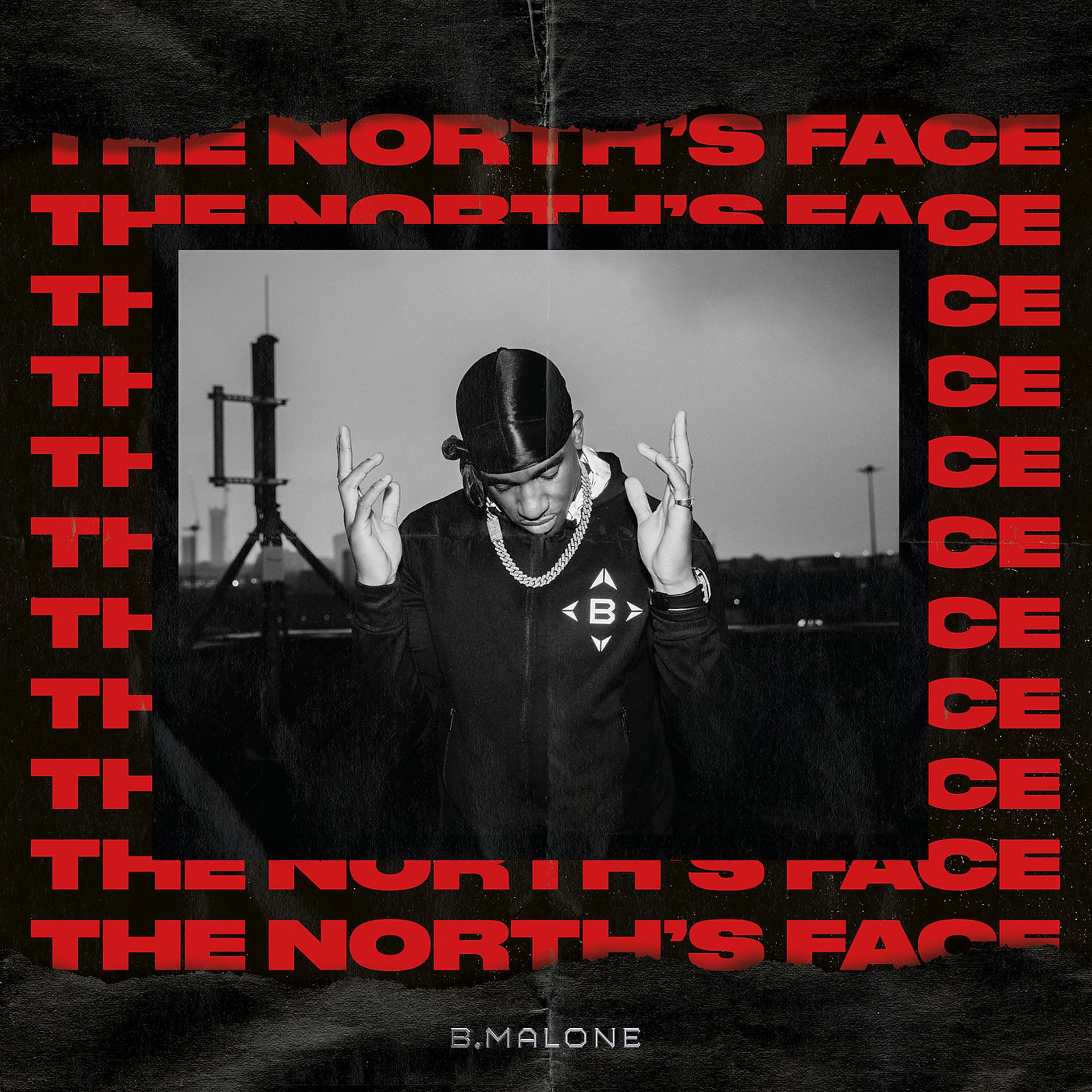 Постер альбома The North’s Face