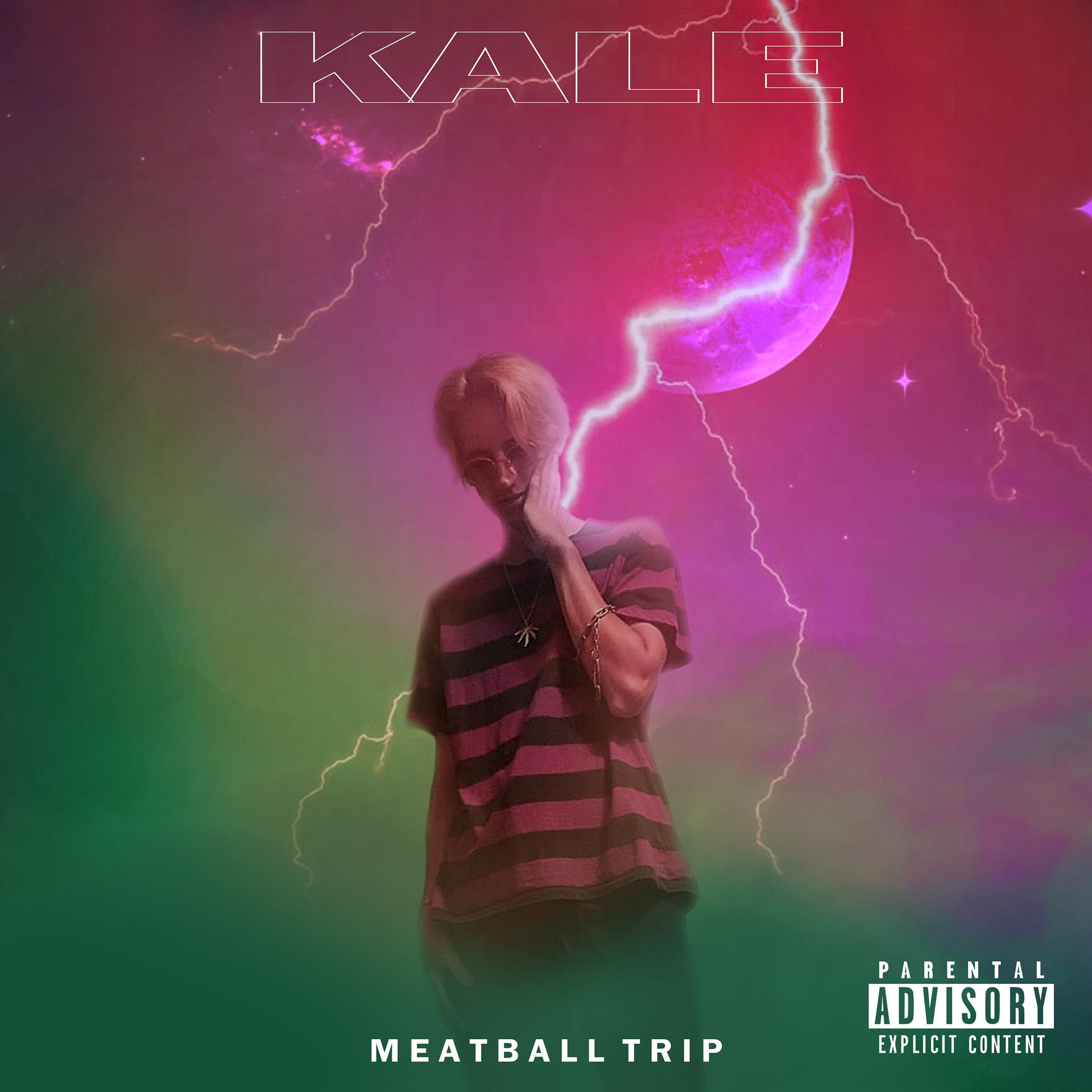 Постер альбома Meatball Trip