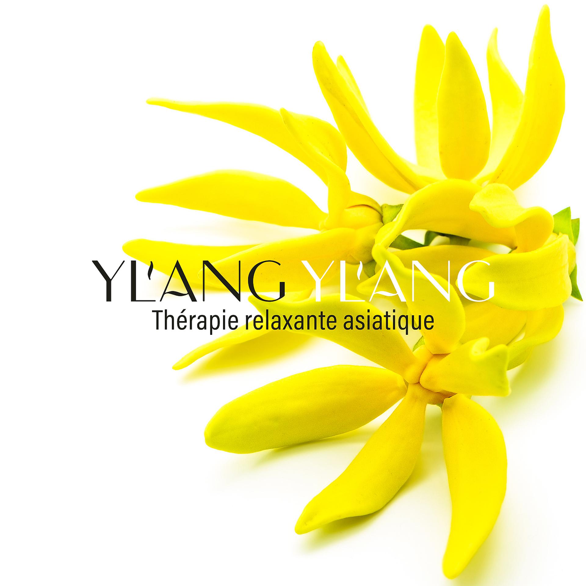 Постер альбома Ylang ylang: Thérapie relaxante asiatique, Spa, yoga, pleine conscience